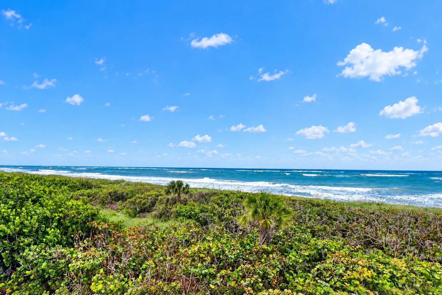 4000 N HIGHWAY A1A #301