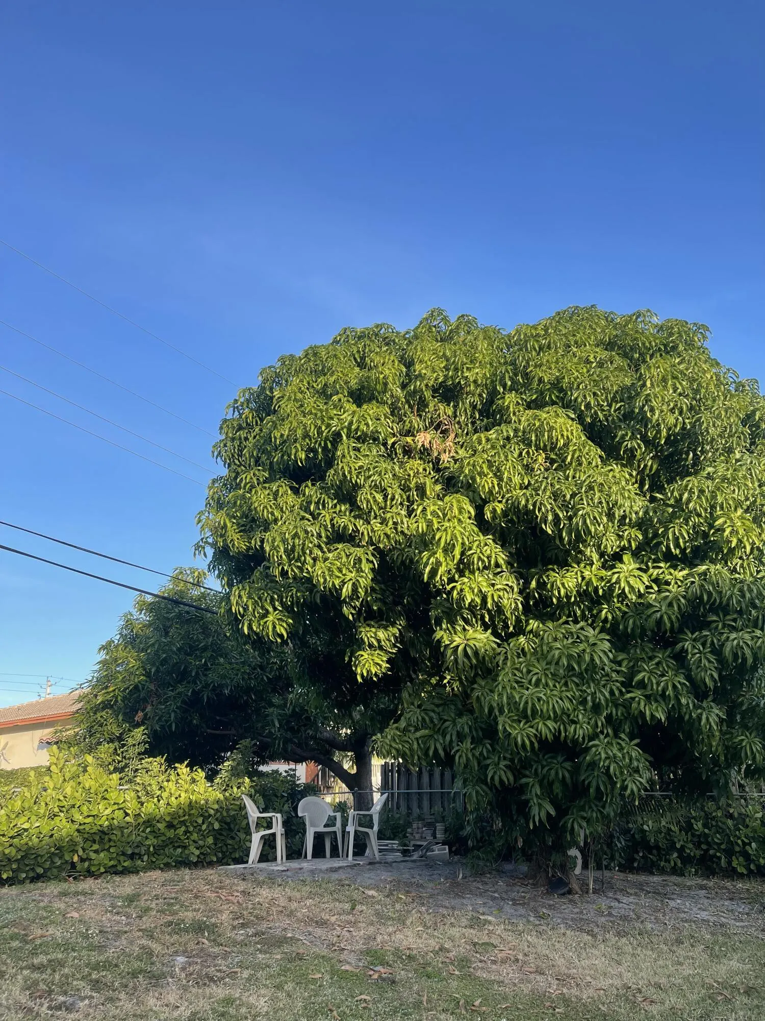 235 NW 3rd Court