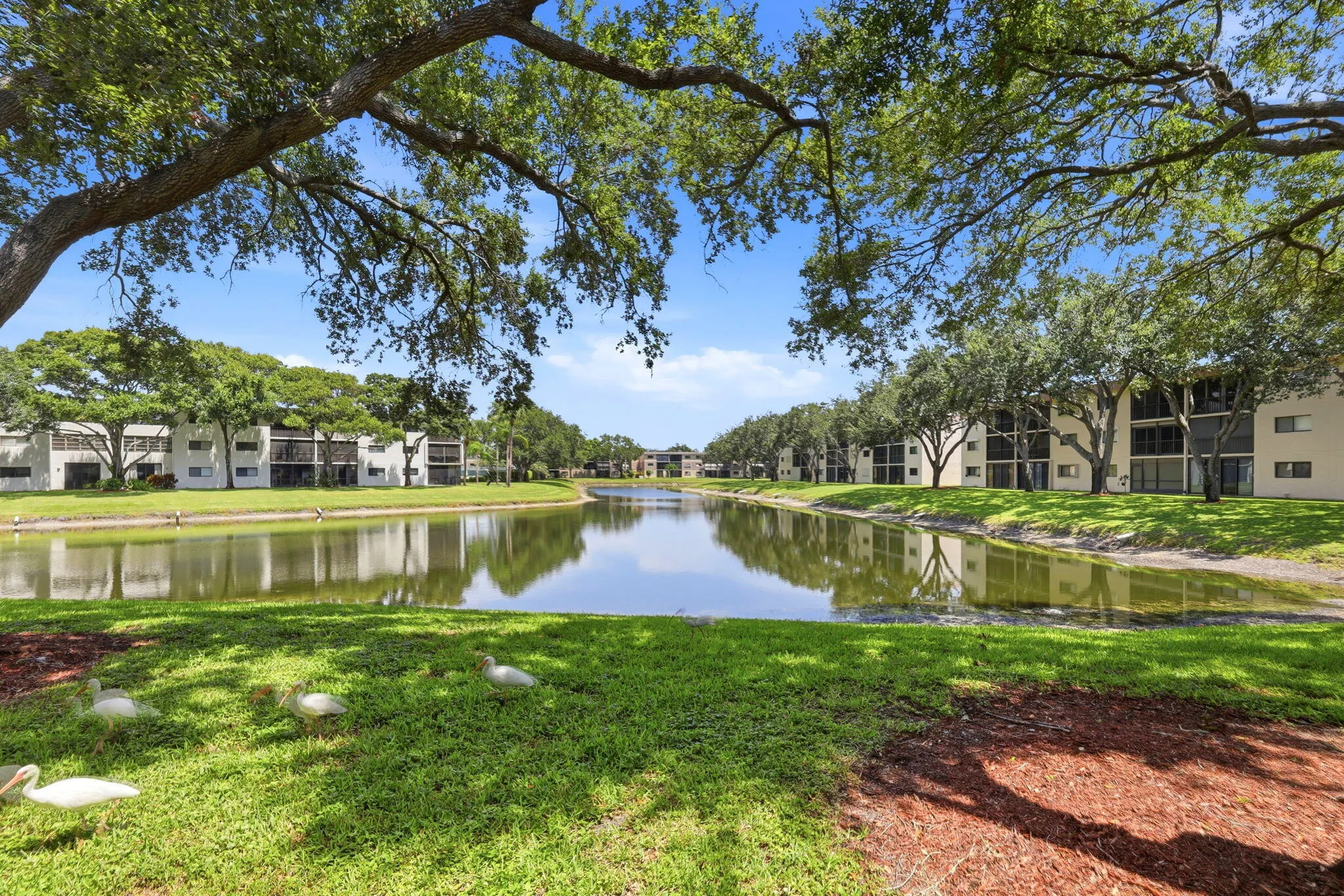 15456 PEMBRIDGE Drive #111