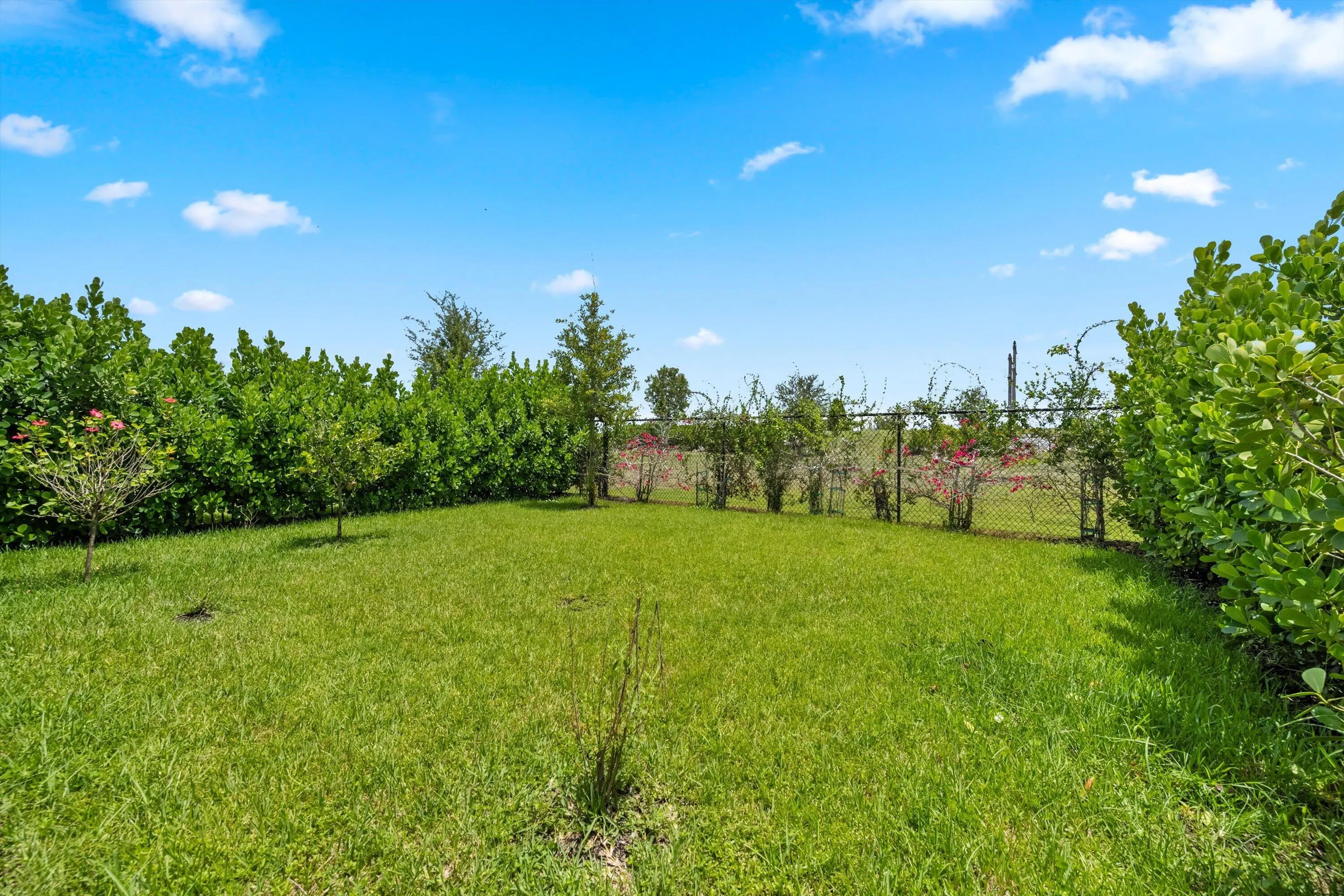 1282 Tangled Orchard Trace