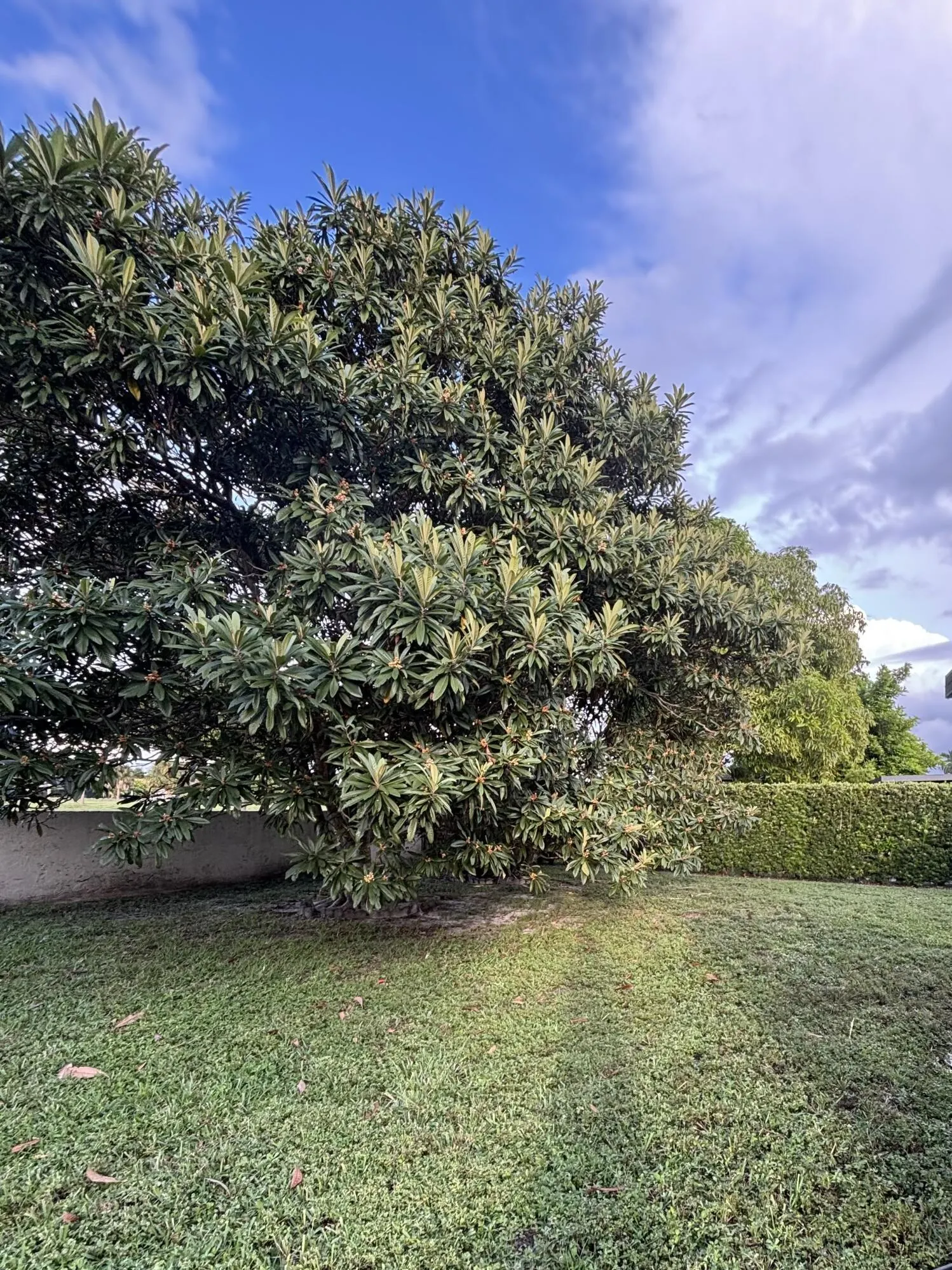 9521 NW 83rd Street