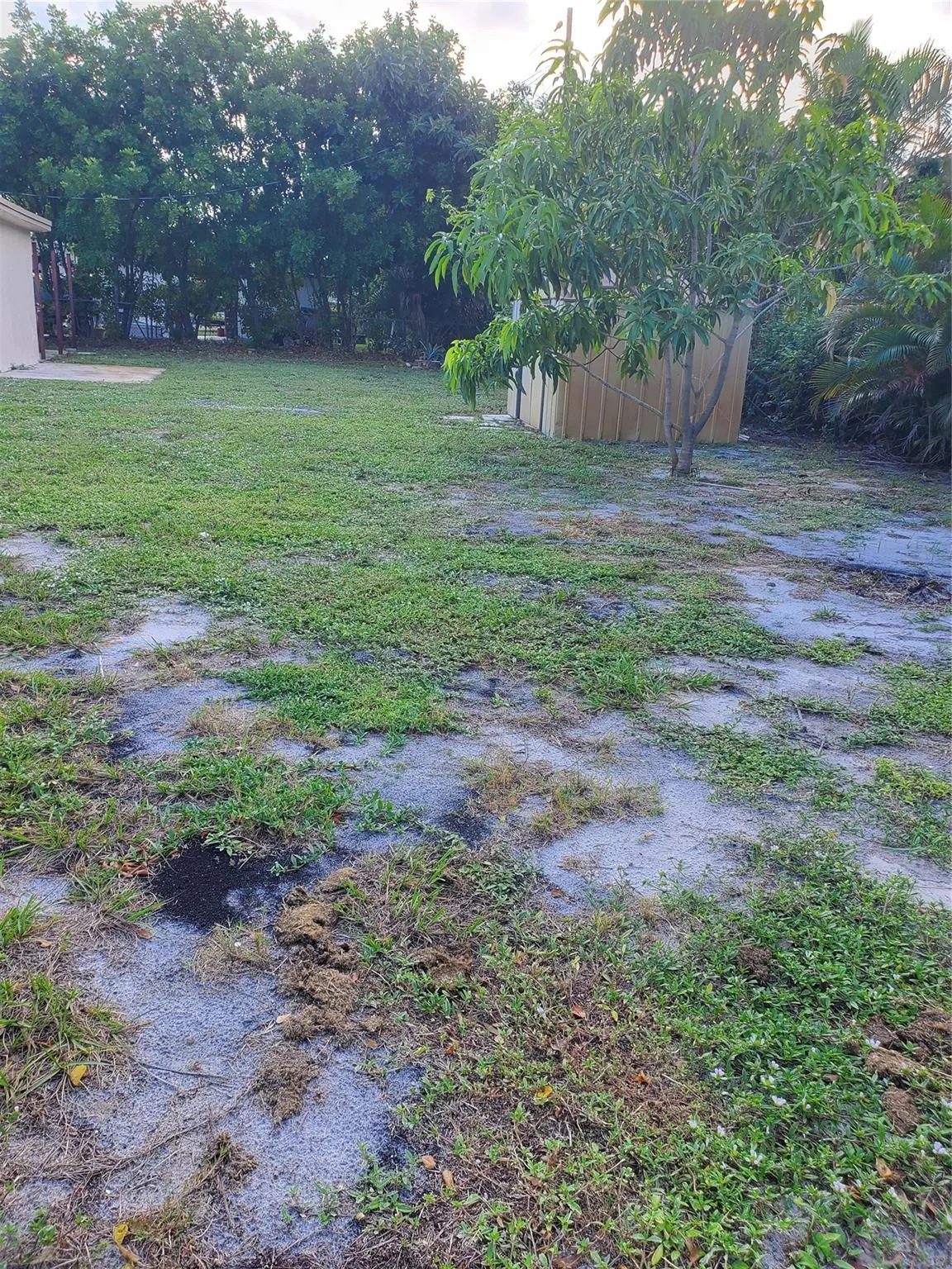 264 NE 45TH Street