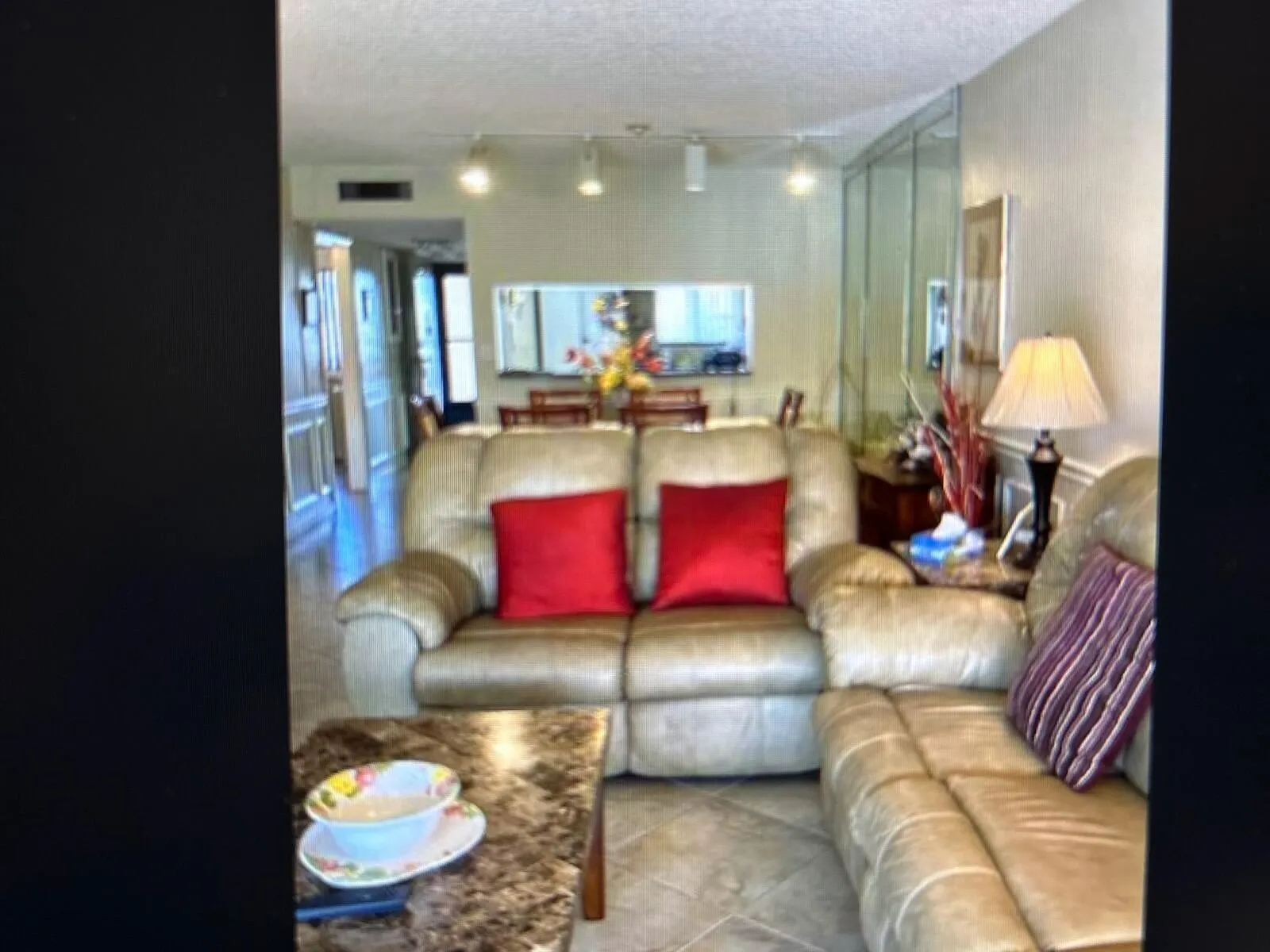 3212 STRAWFLOWER Way #206