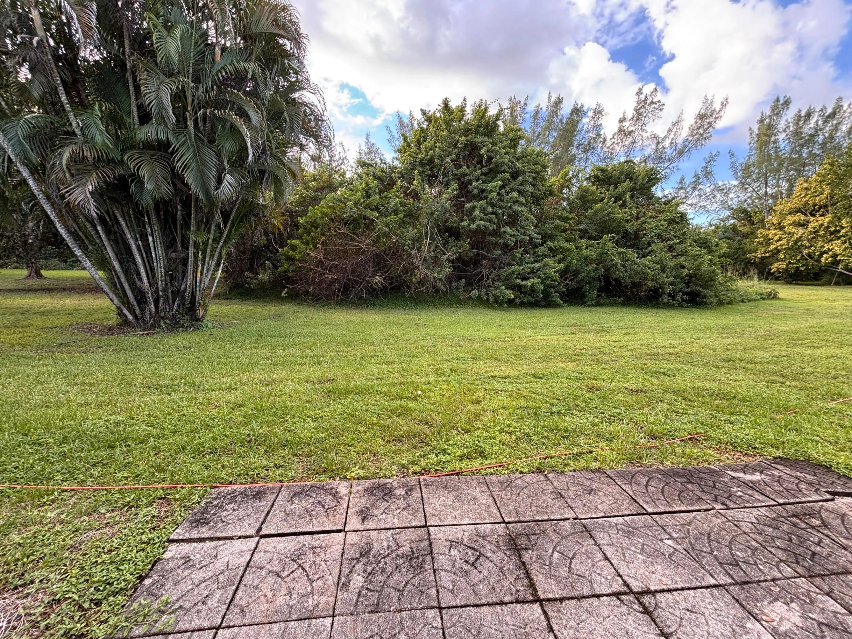 1904 Palmland Drive #3