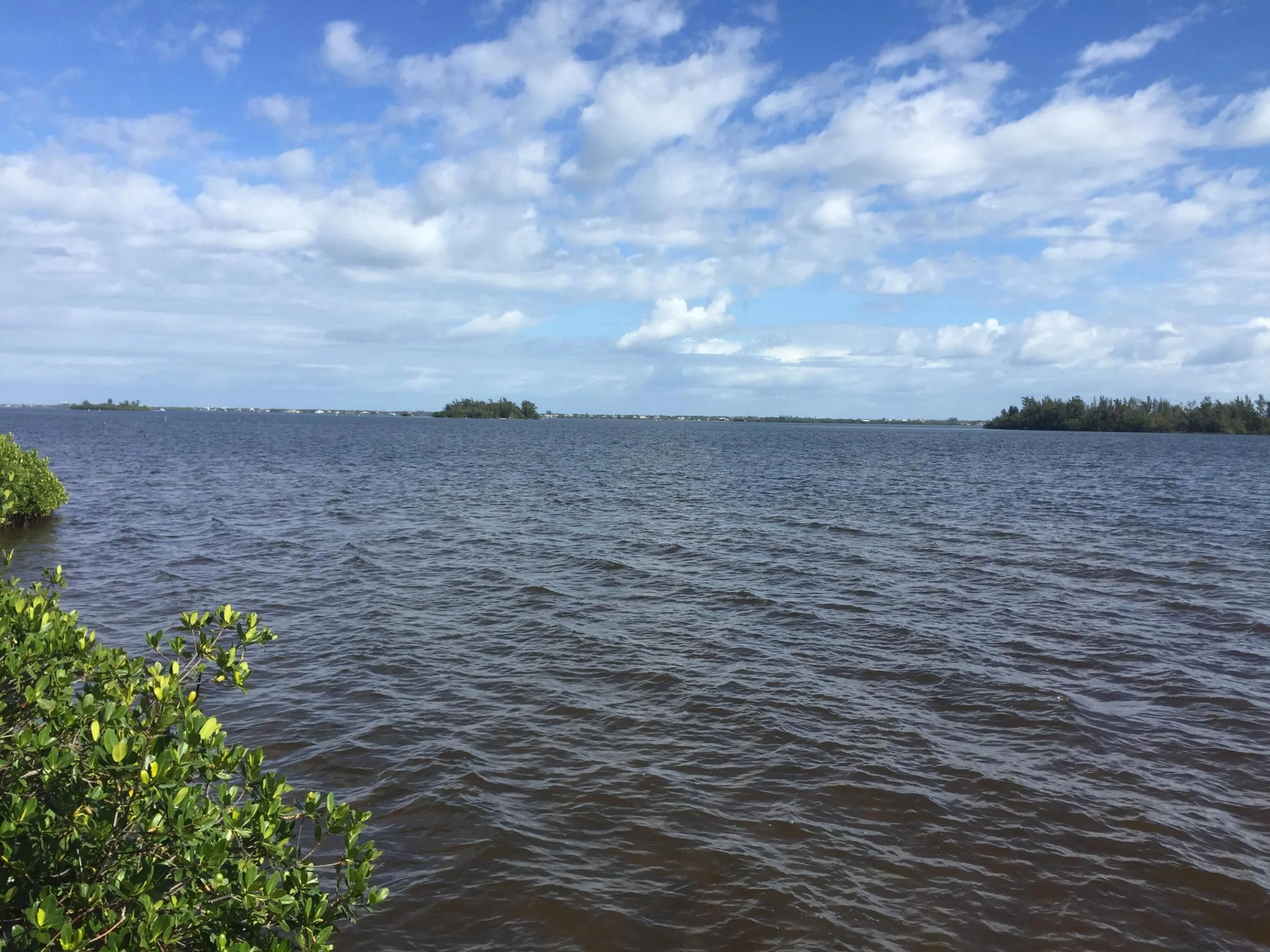720 Lake Orchid Circle
