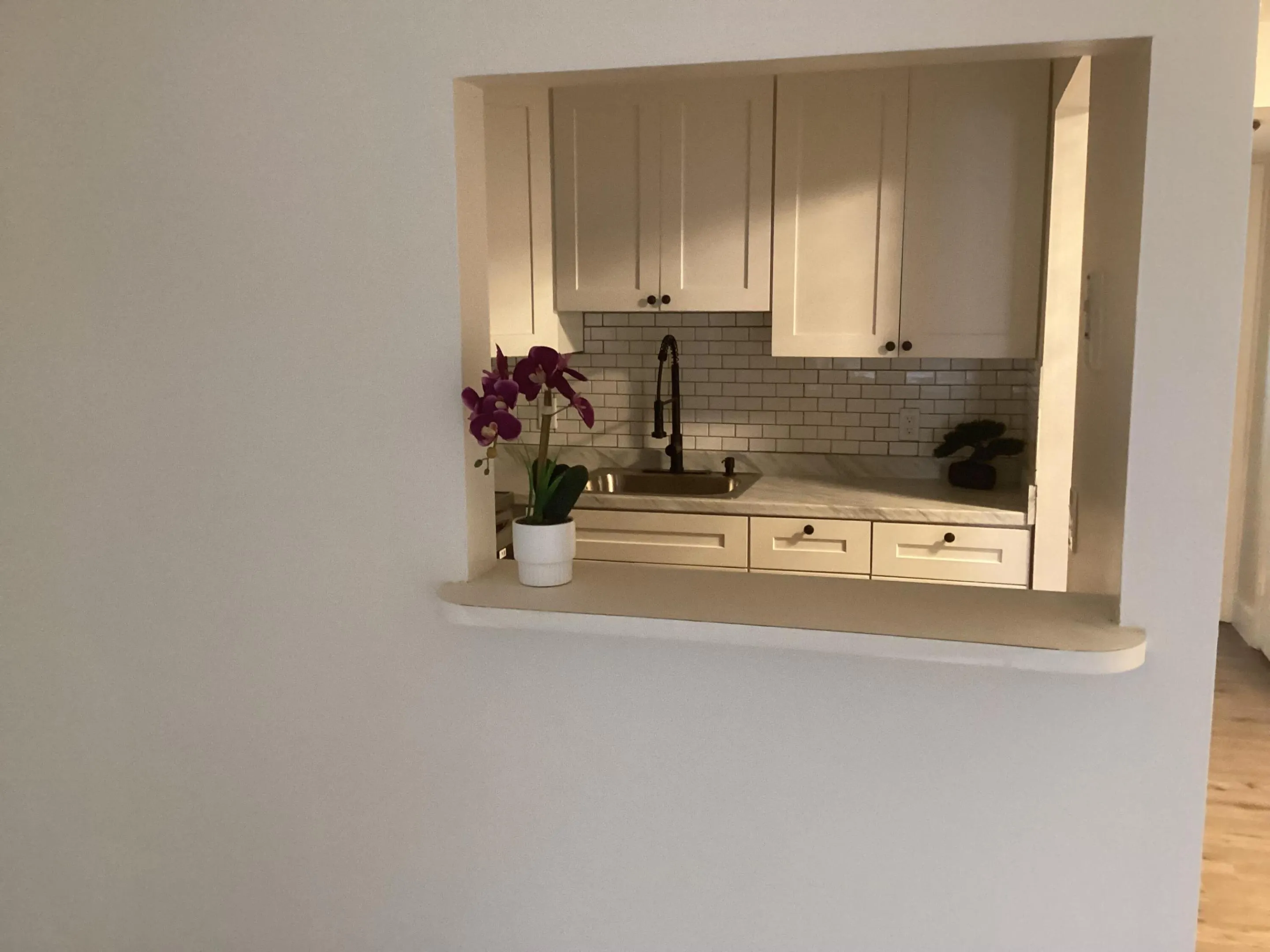 51 Dorchester C #51