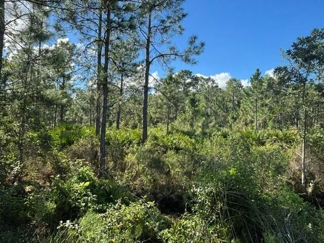 0 FL-60