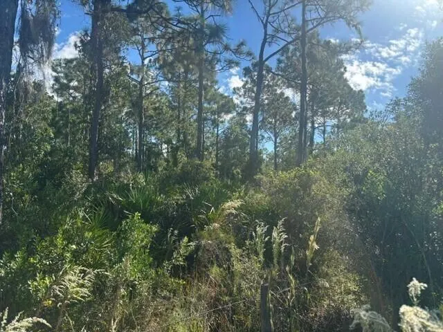 0 FL-60