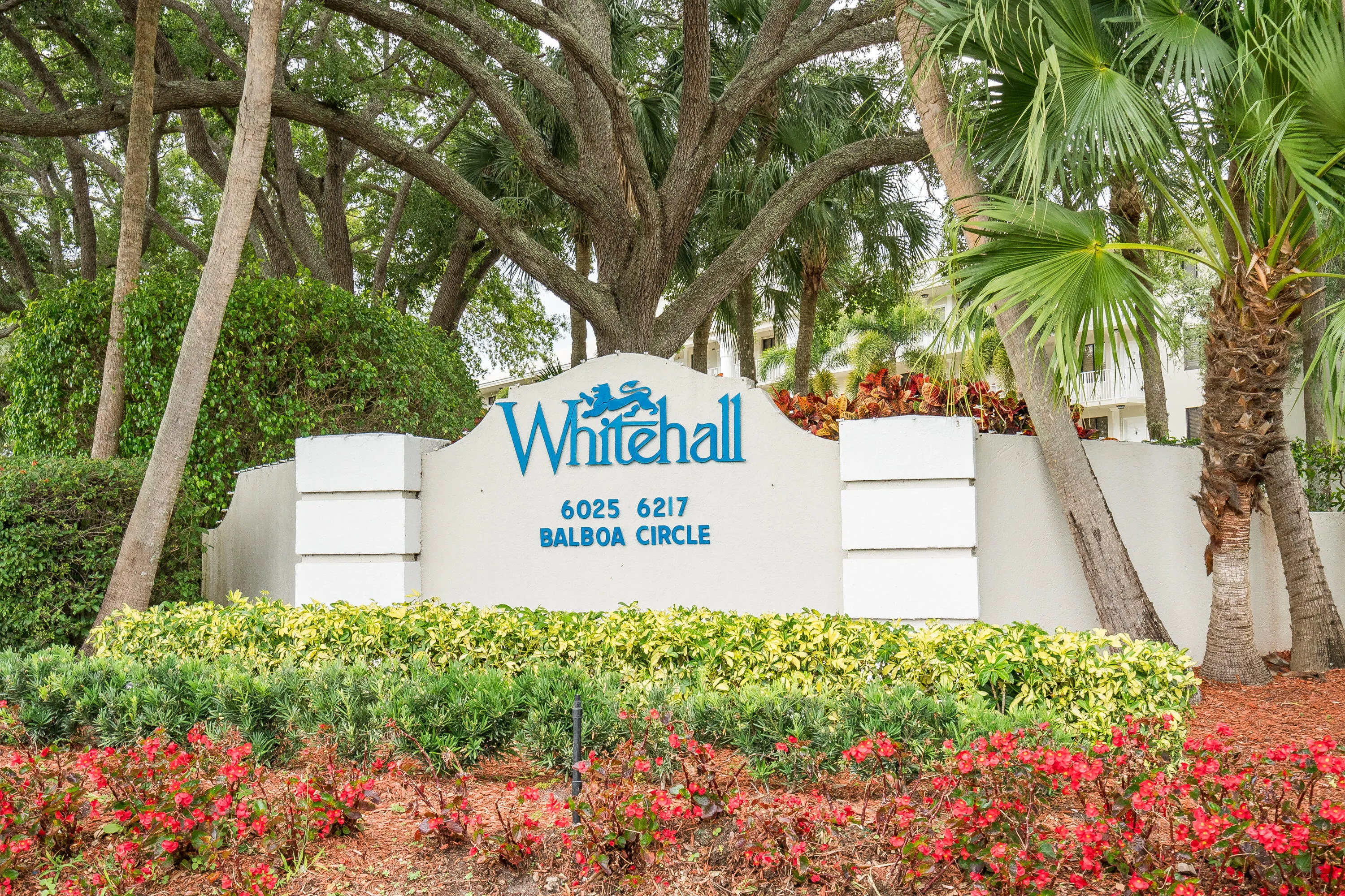 6037 BALBOA Circle #403