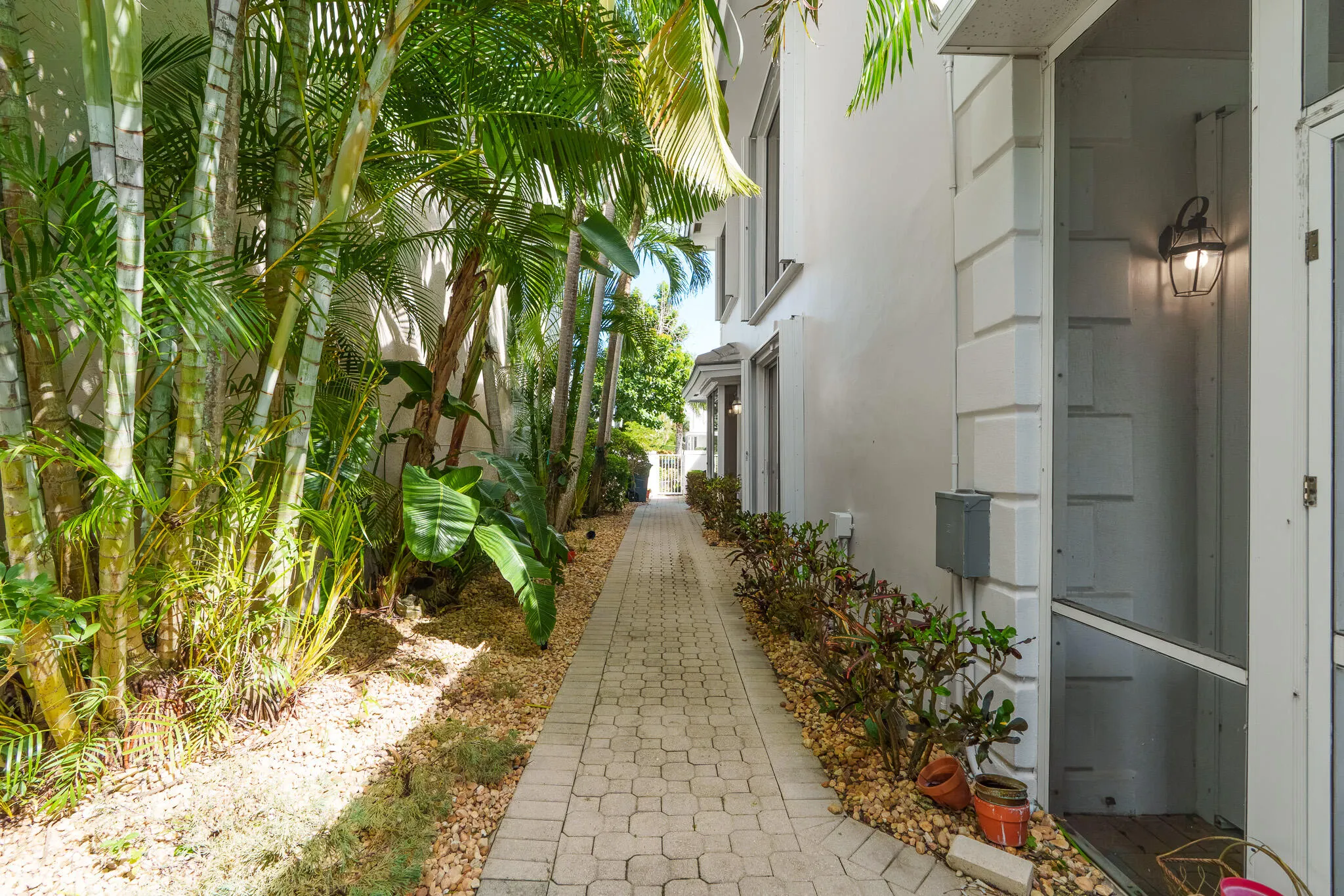 23381 BUTTERFLY PALM Court