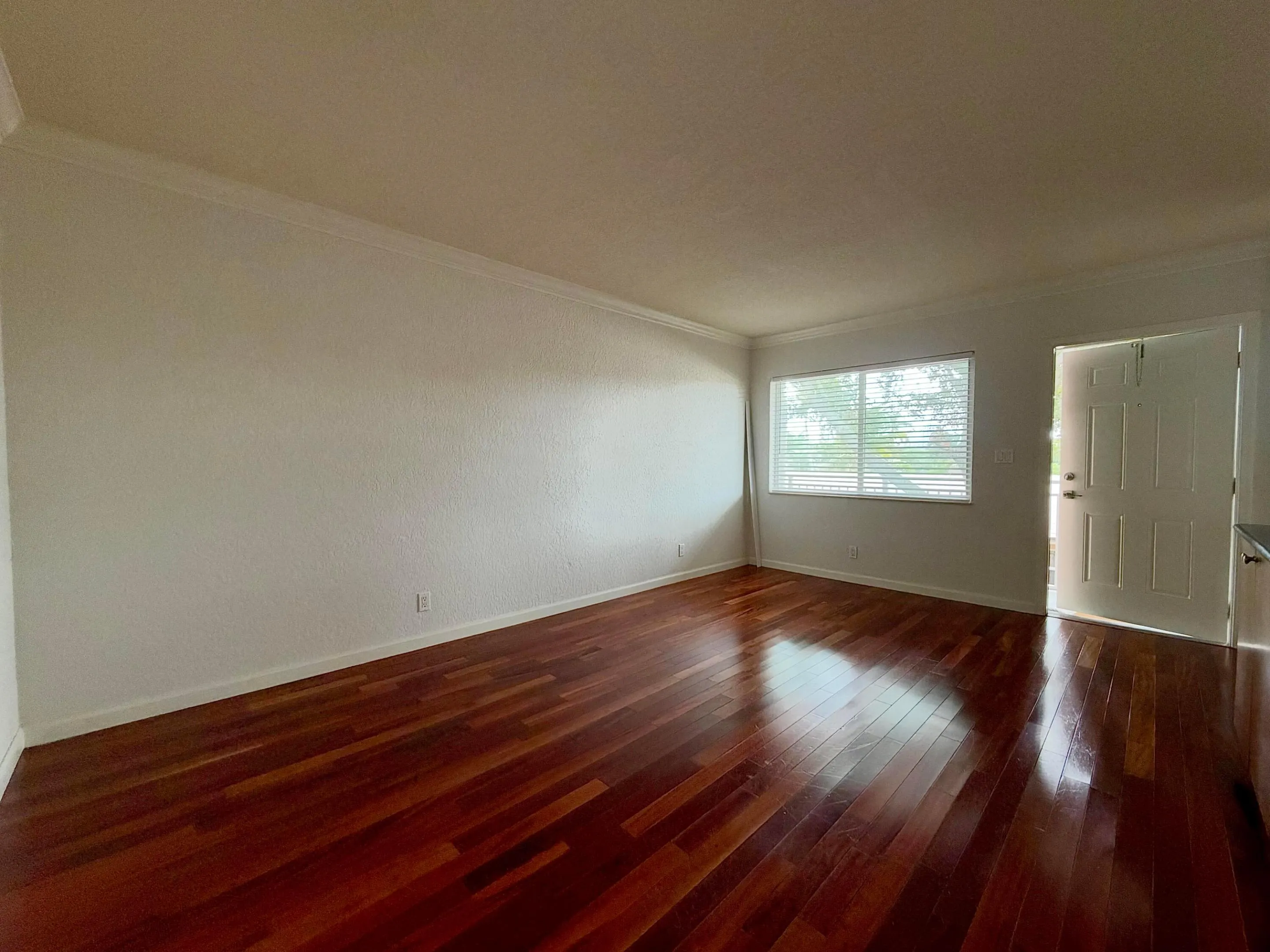 1353 HOLLY HEIGHTS Drive #5