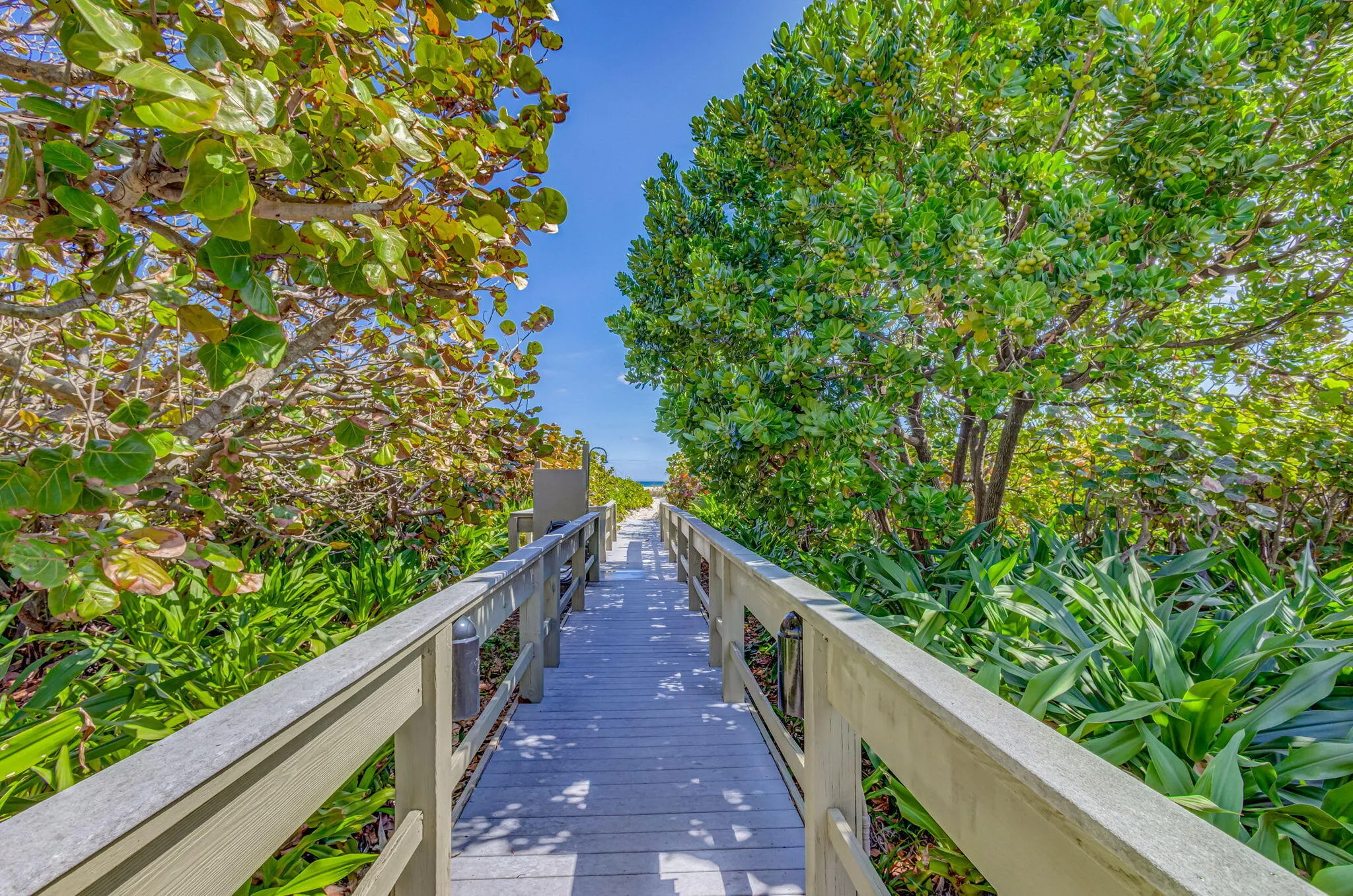3400 N OCEAN Drive #807