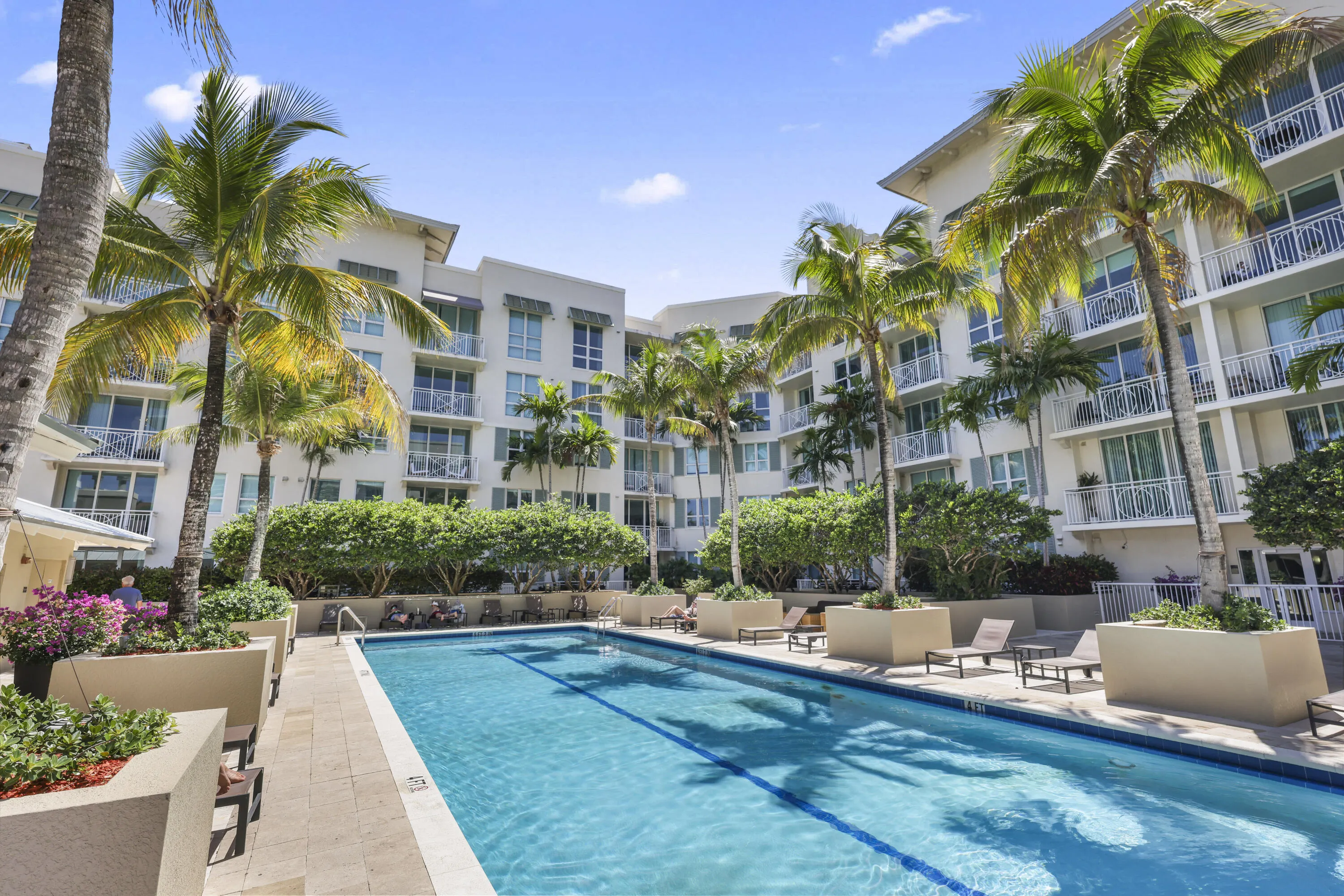 480 HIBISCUS Street #523