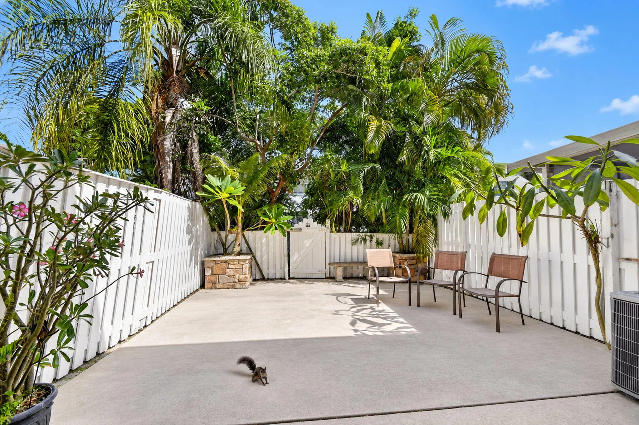 216 FOXTAIL Drive #B