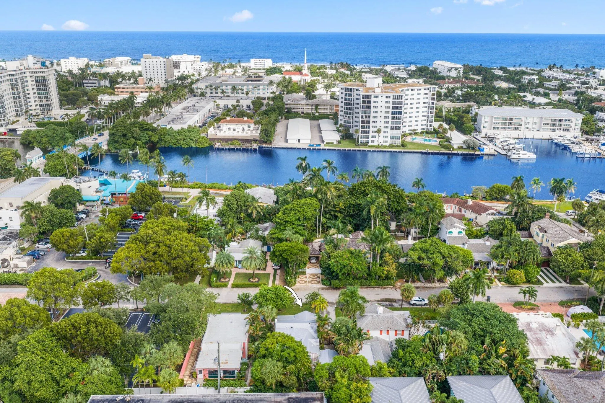42 Palm Square
