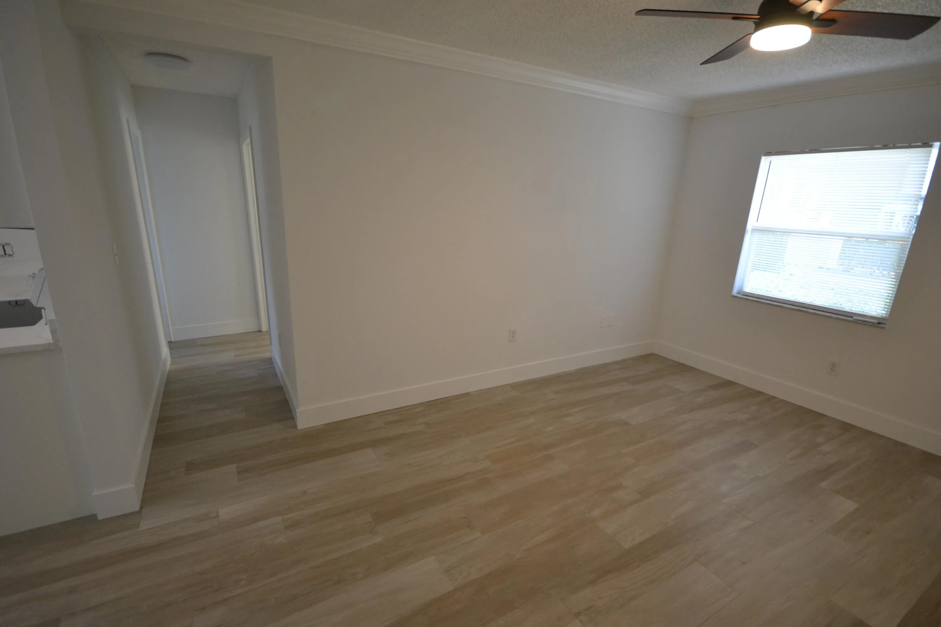 217 Butler Street #3
