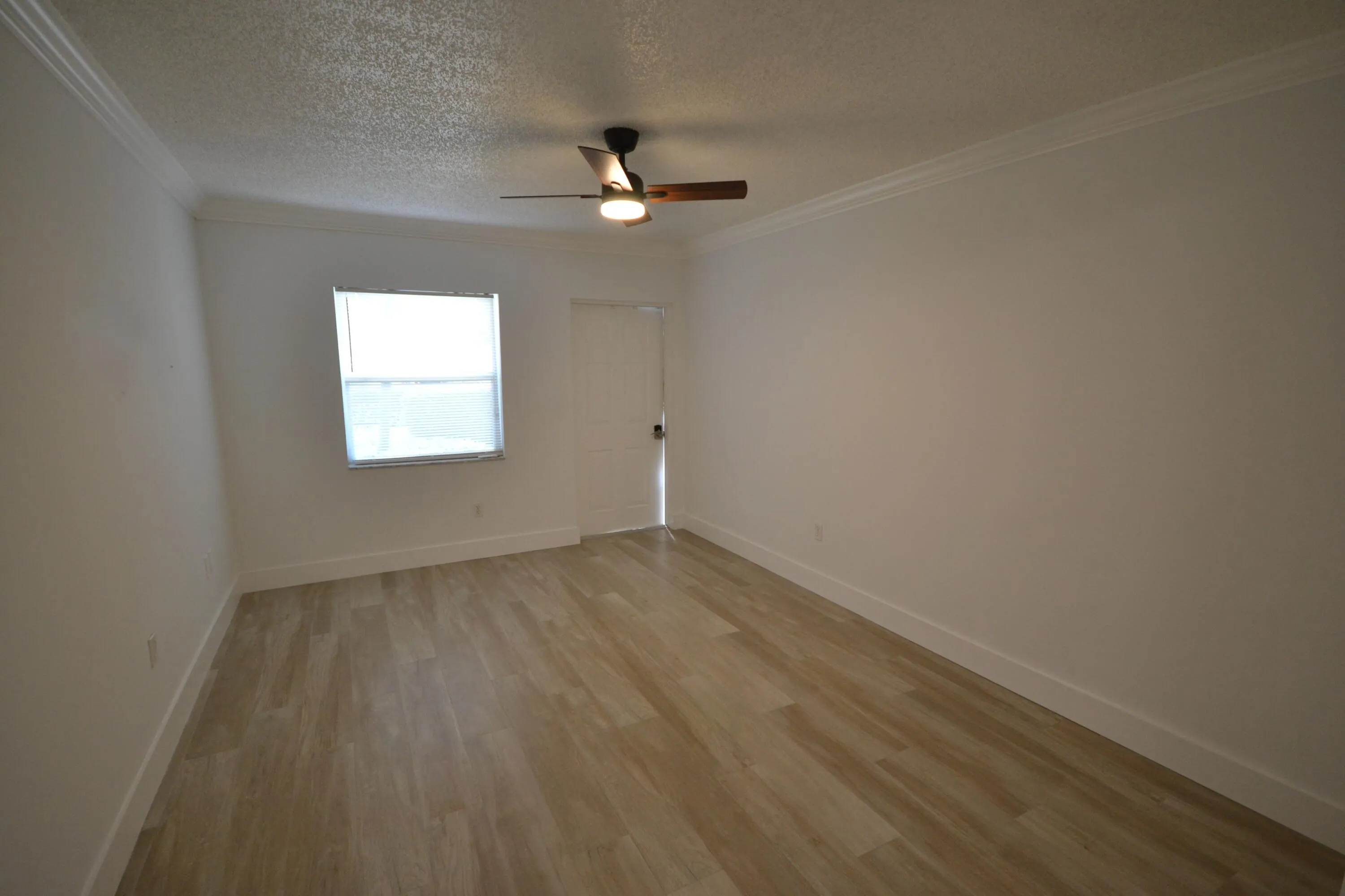 217 Butler Street #3