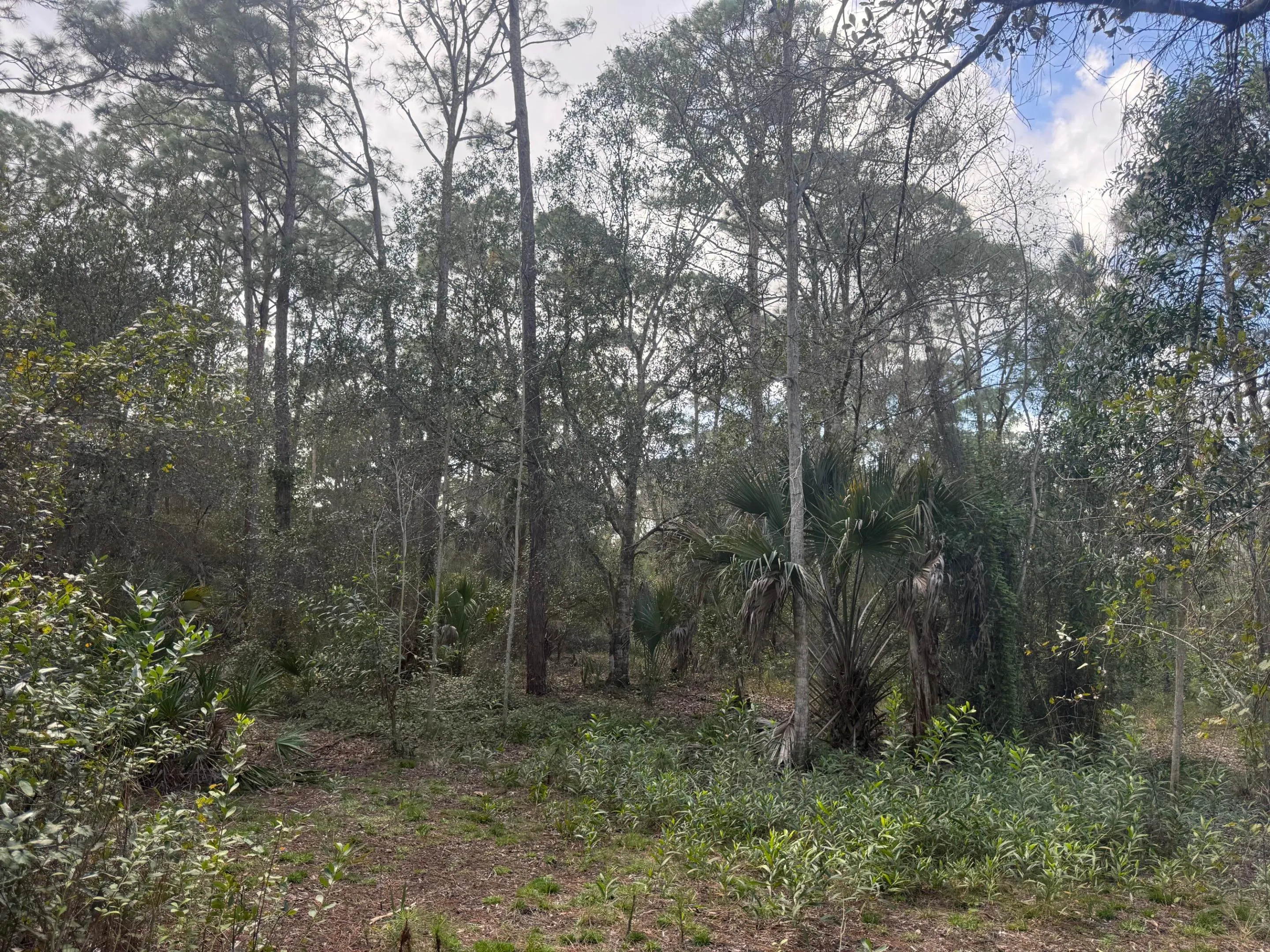 0 SW DEER RUN