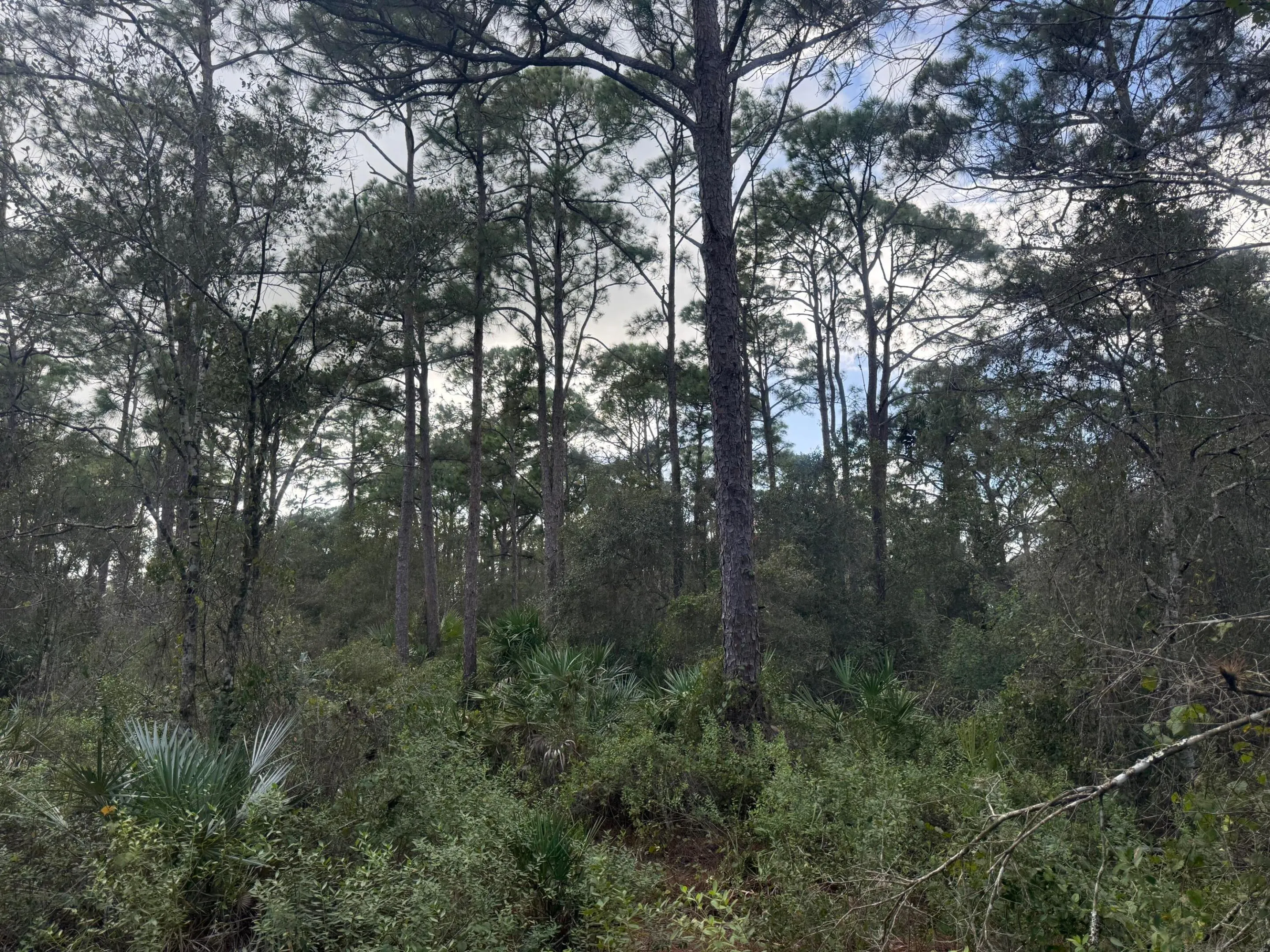 0 SW DEER RUN