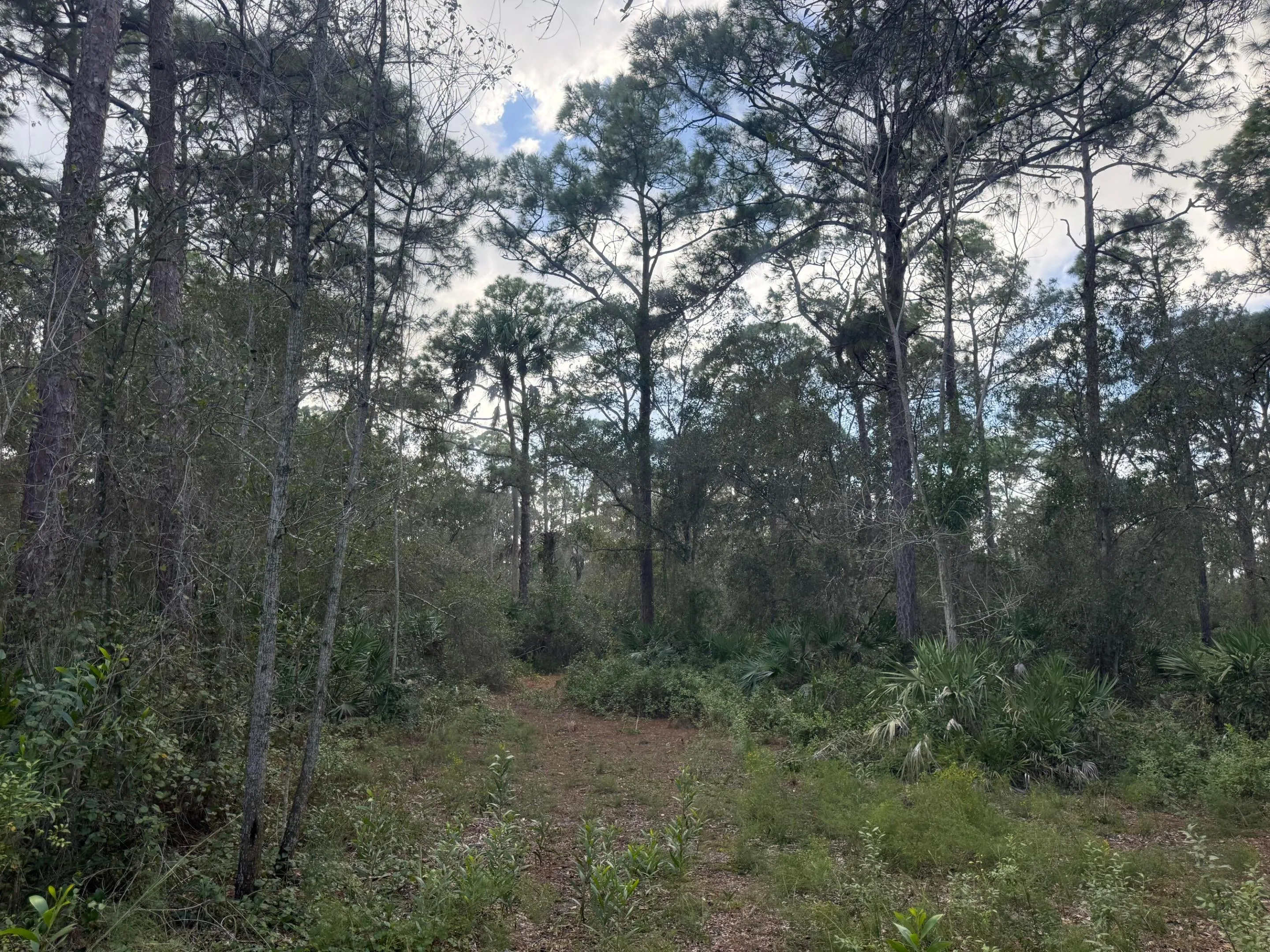 0 SW DEER RUN