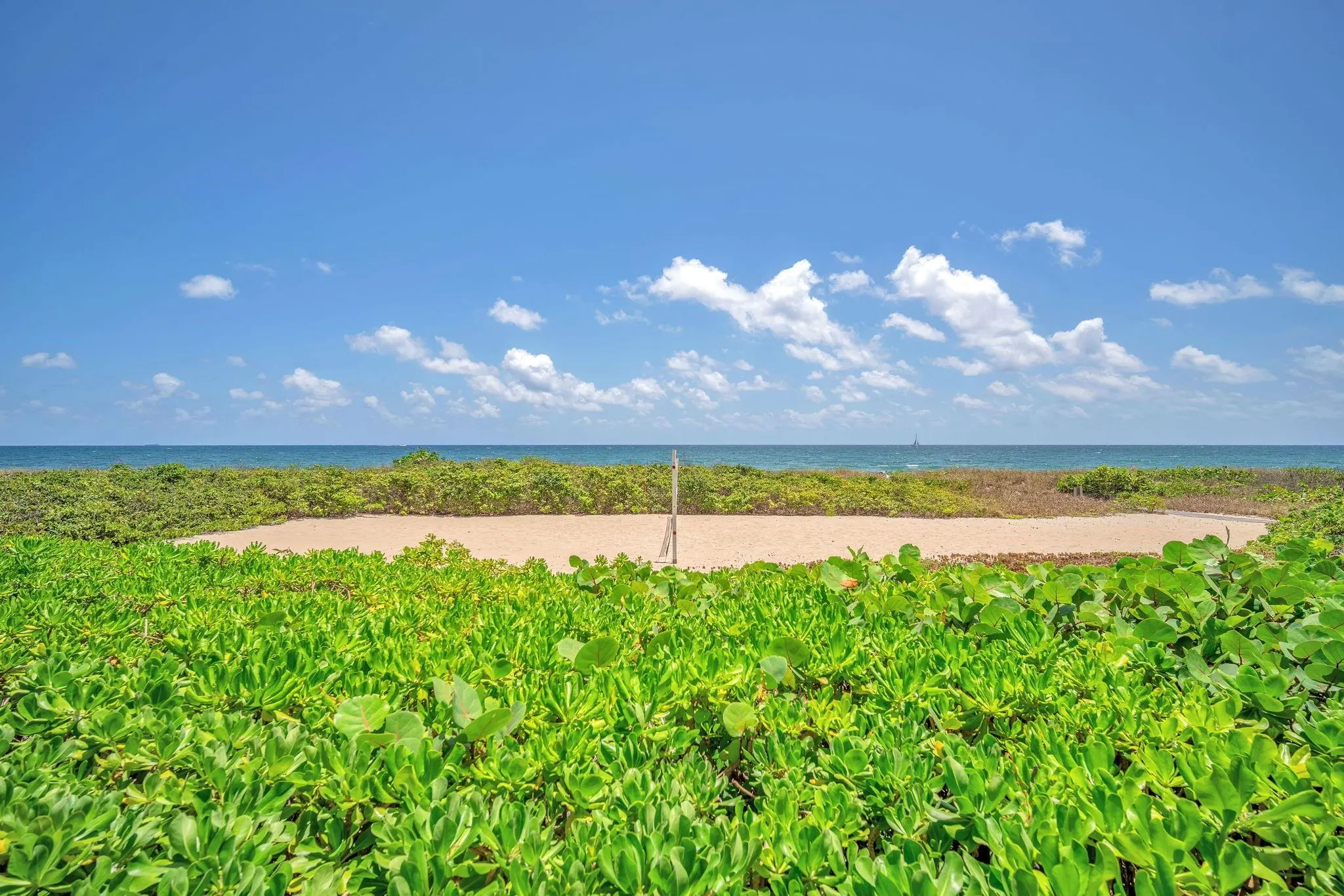 1800 S Ocean Blvd, #804