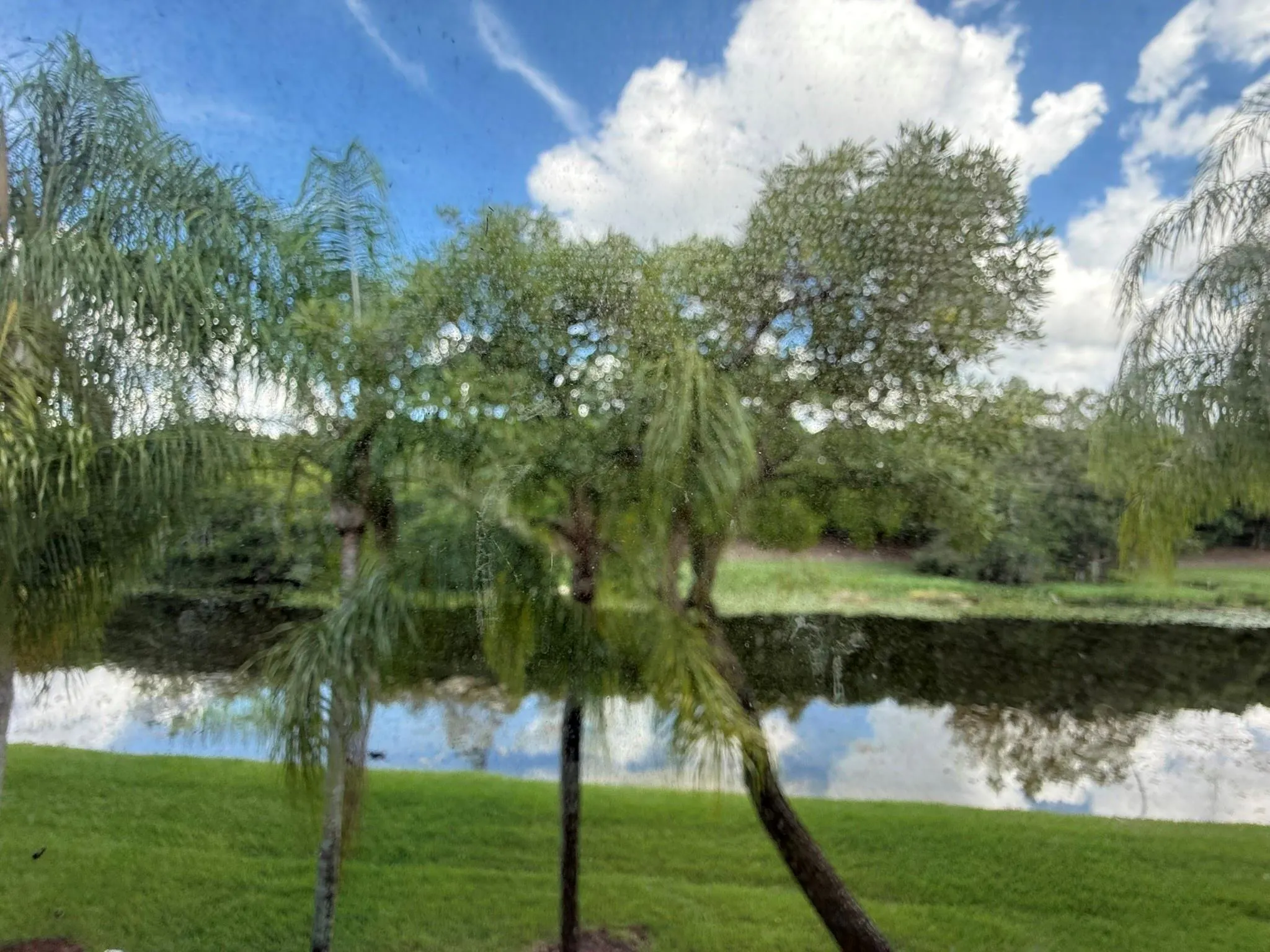 1402 Veracruz Ln