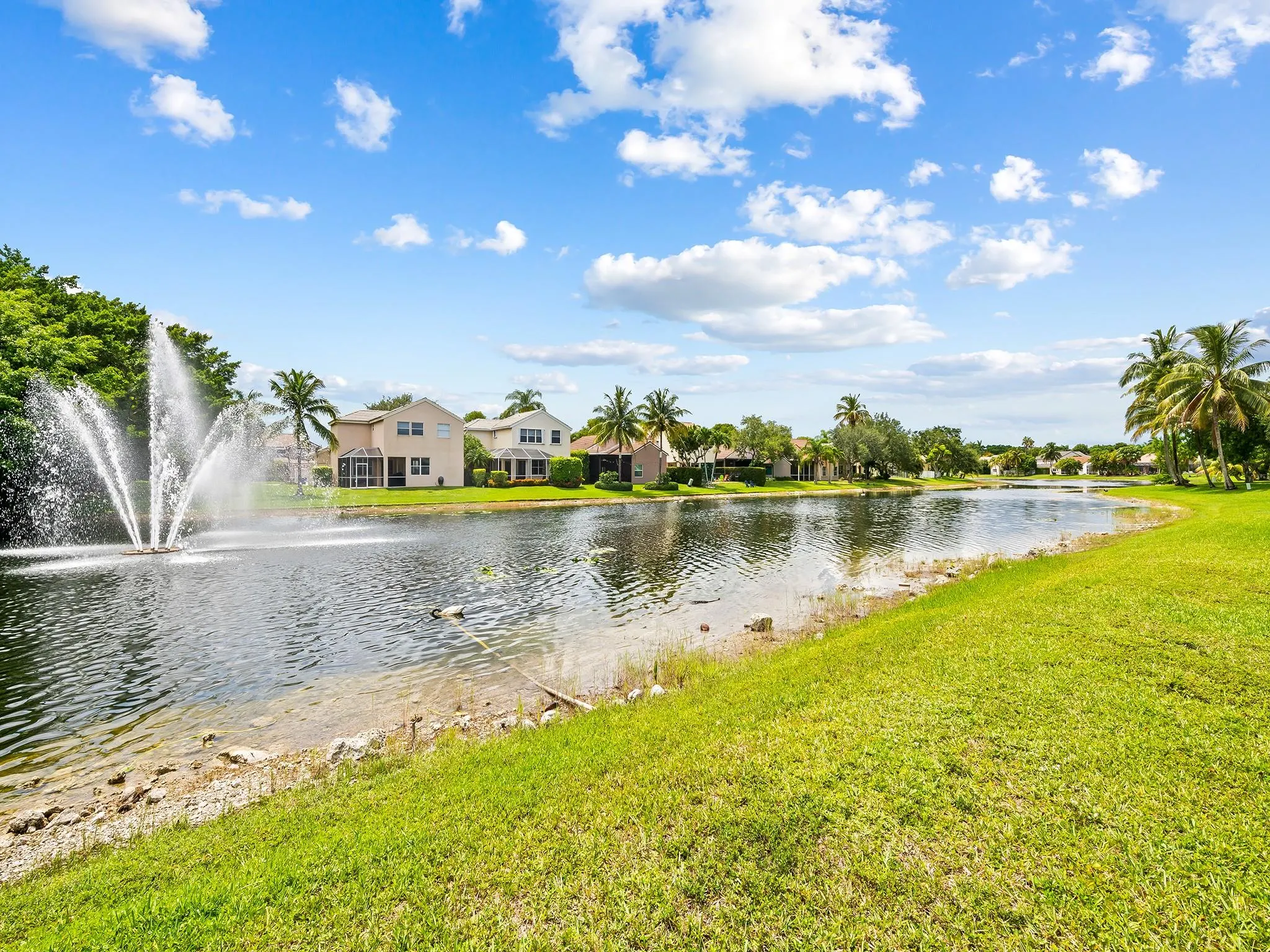 301 Cameron Dr