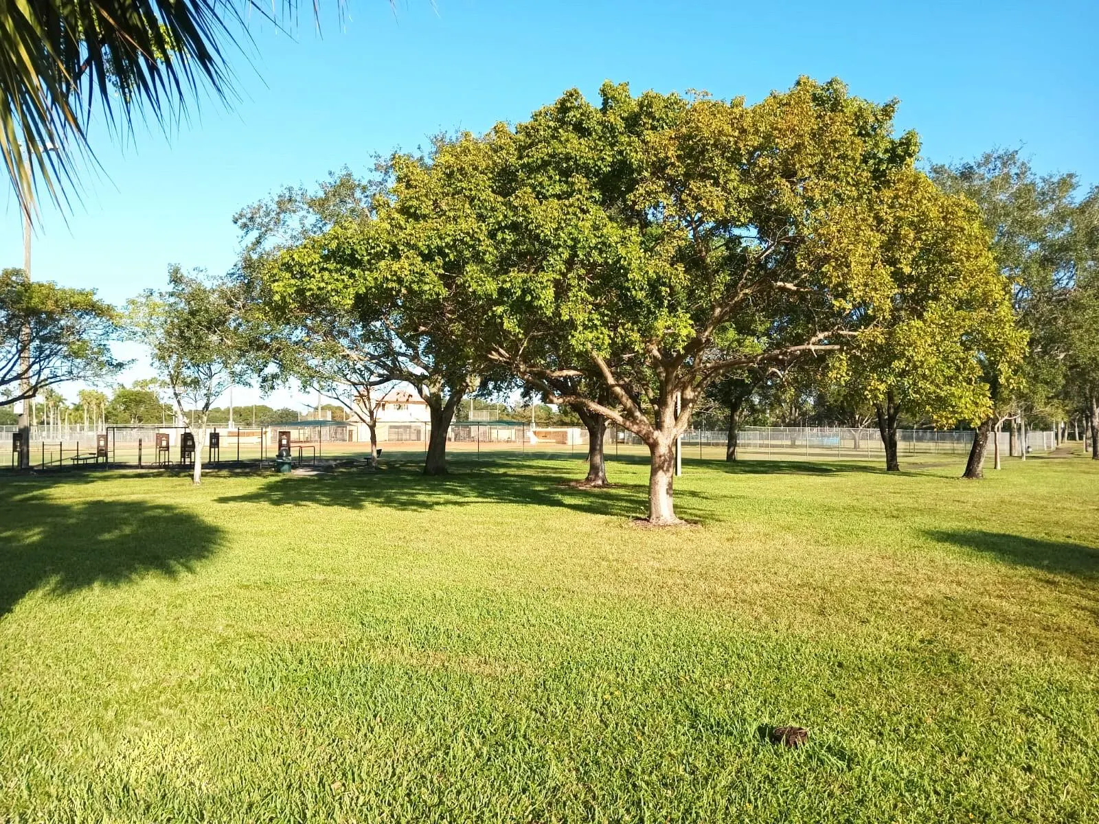 1055 Coral Club Dr, #1055