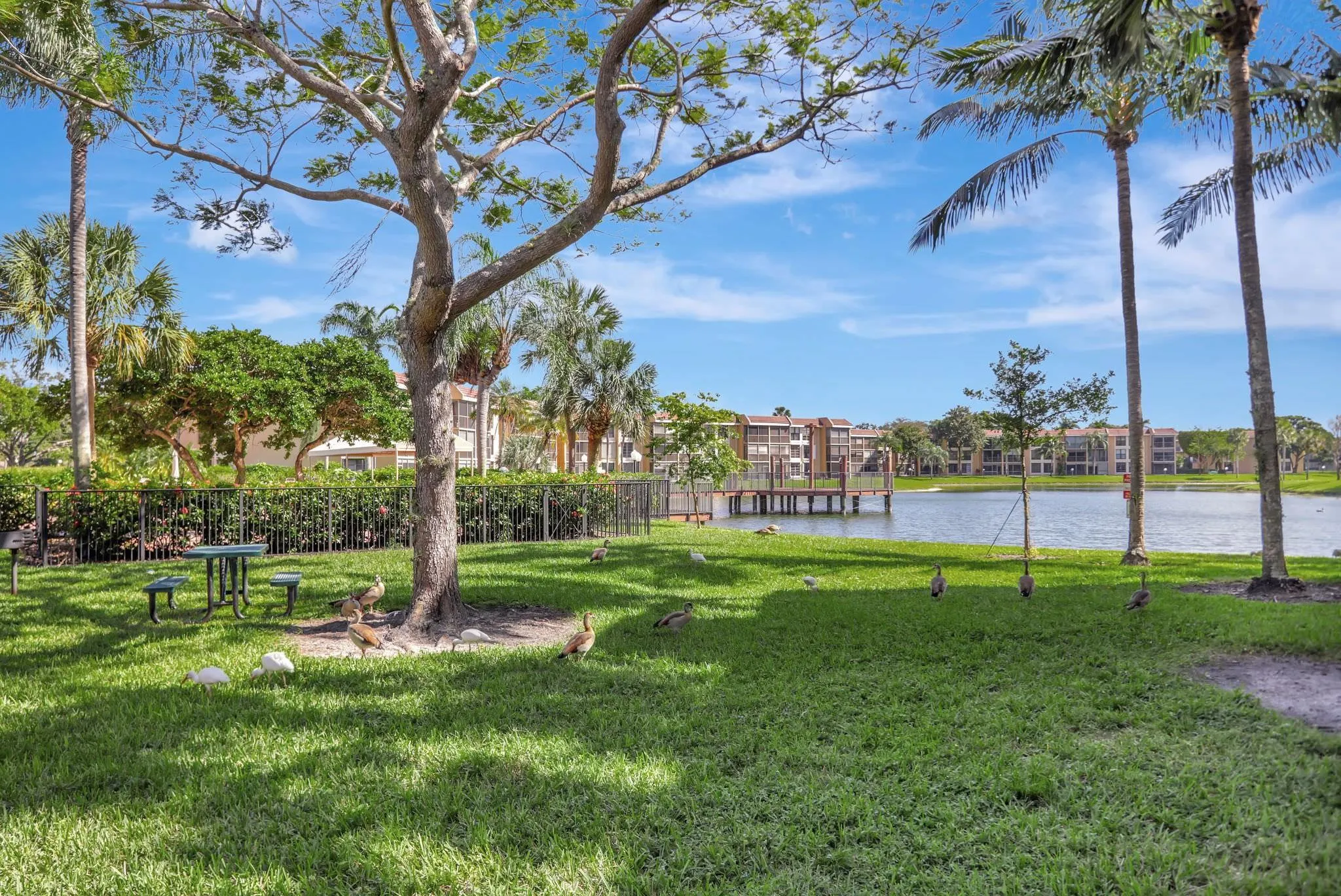 6033 Coral Lake Dr, #6033