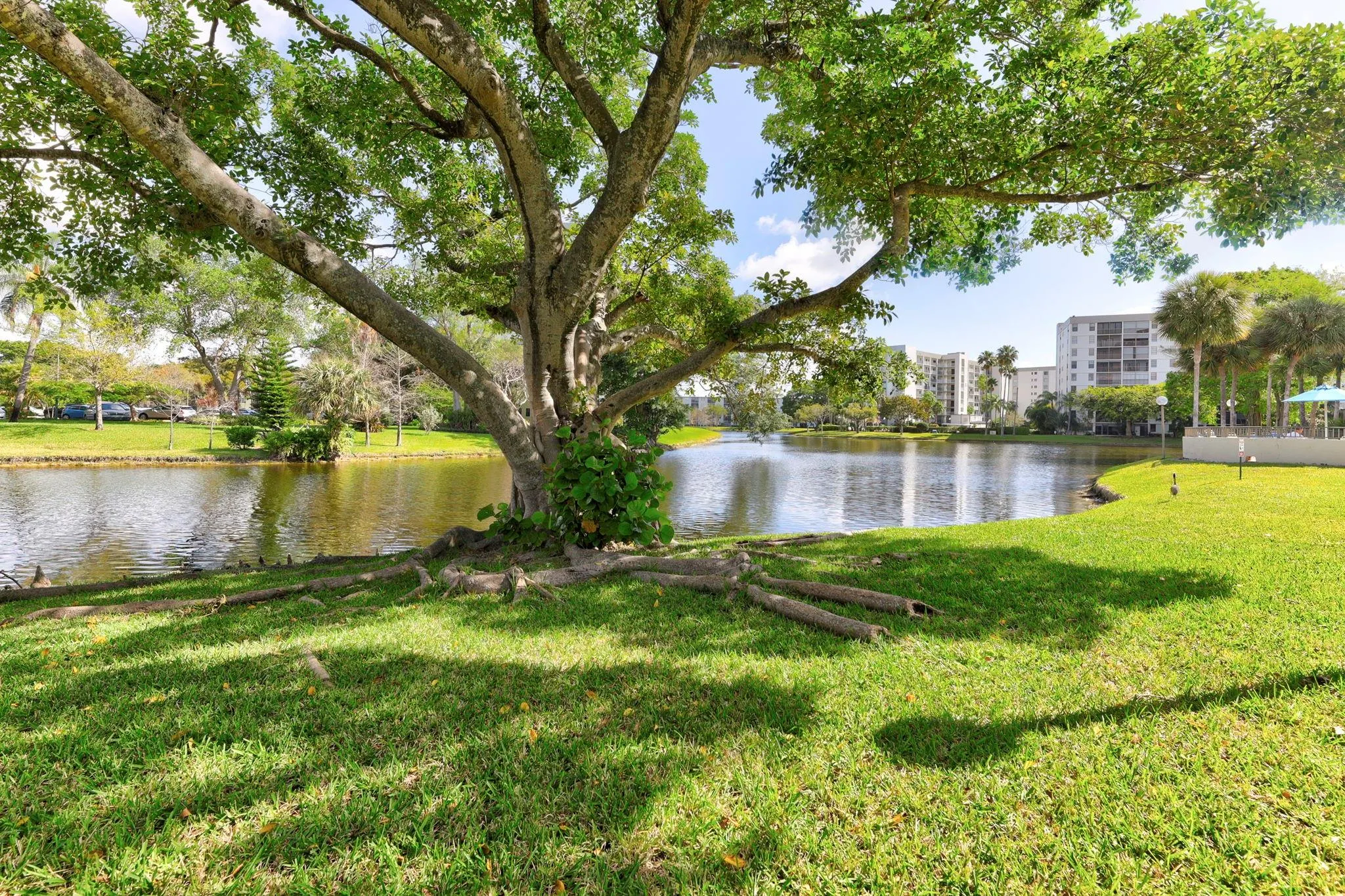 2334 S Cypress Bend Dr, #511