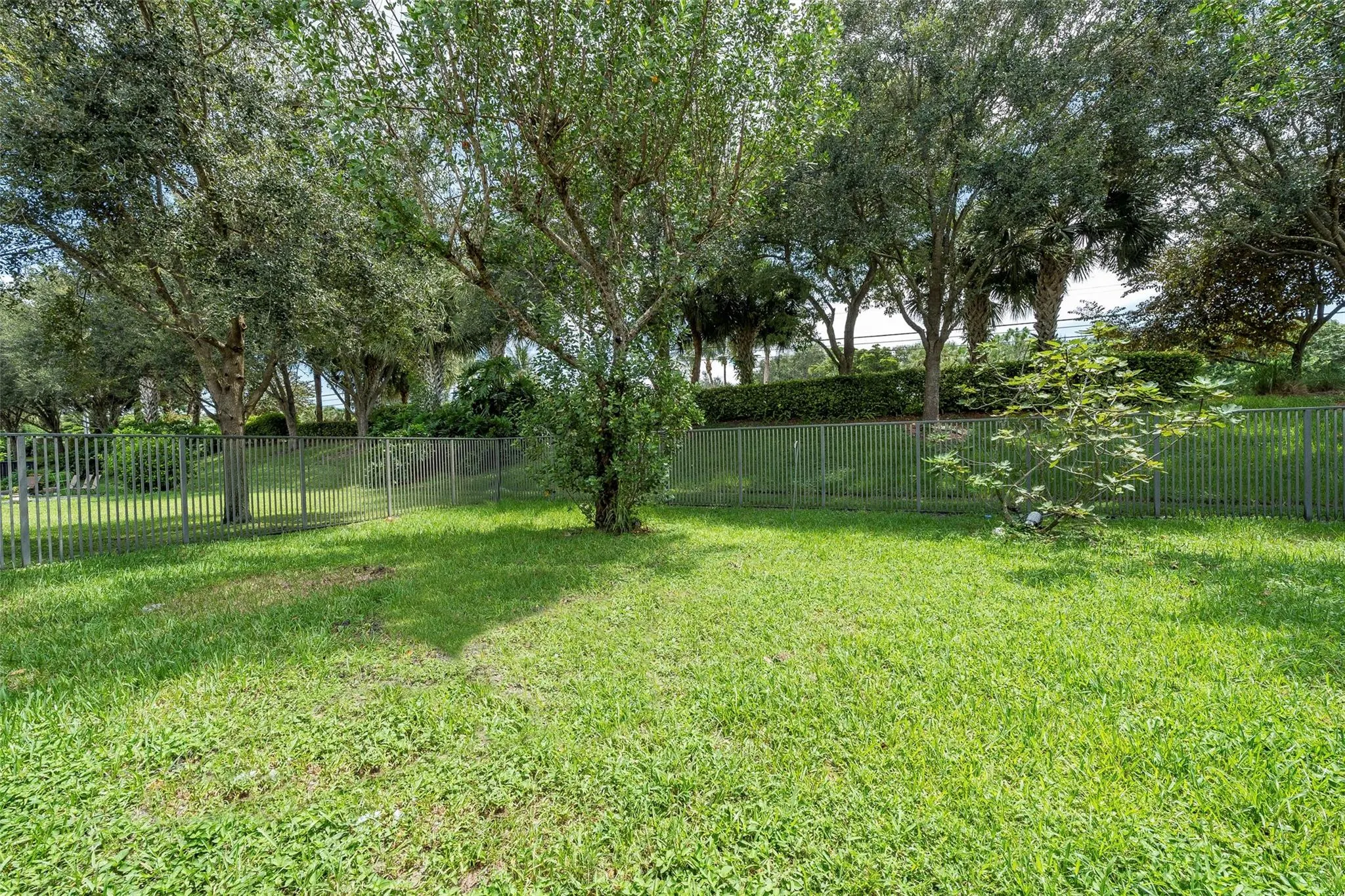 10941 Bitternut Hickory Ln