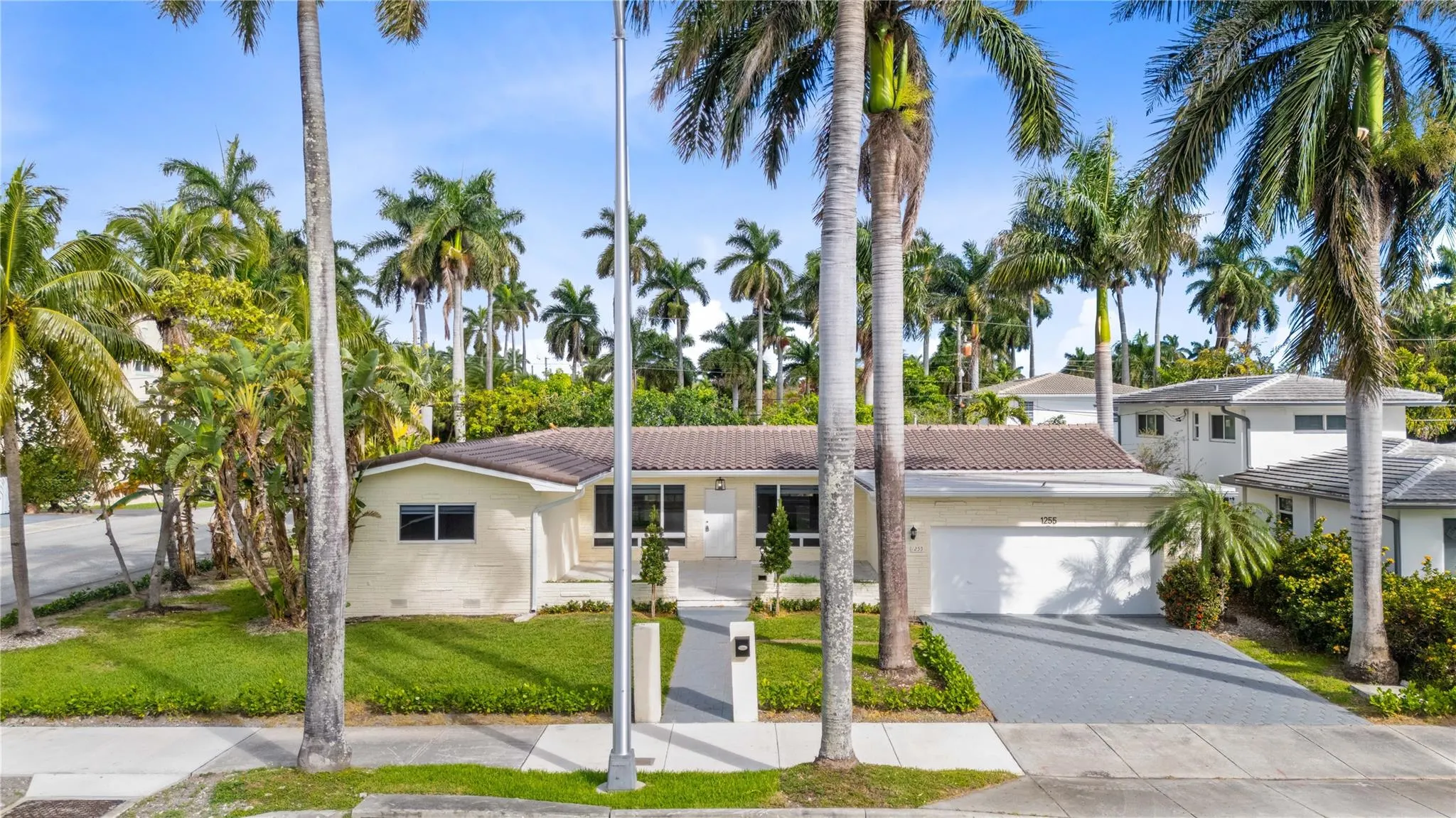 1255 Hollywood Blvd
