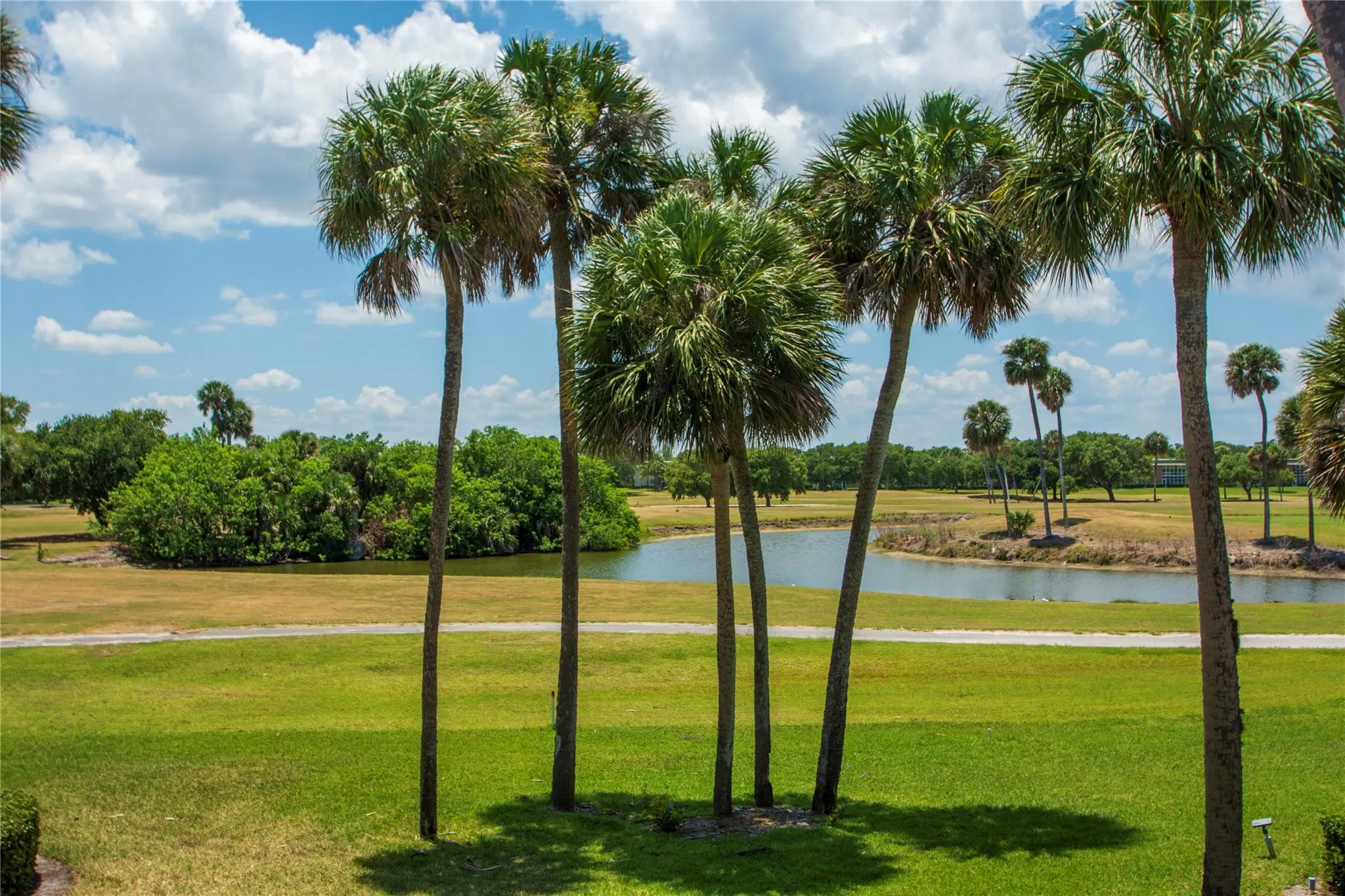 1 Vista Gardens Trl, #207