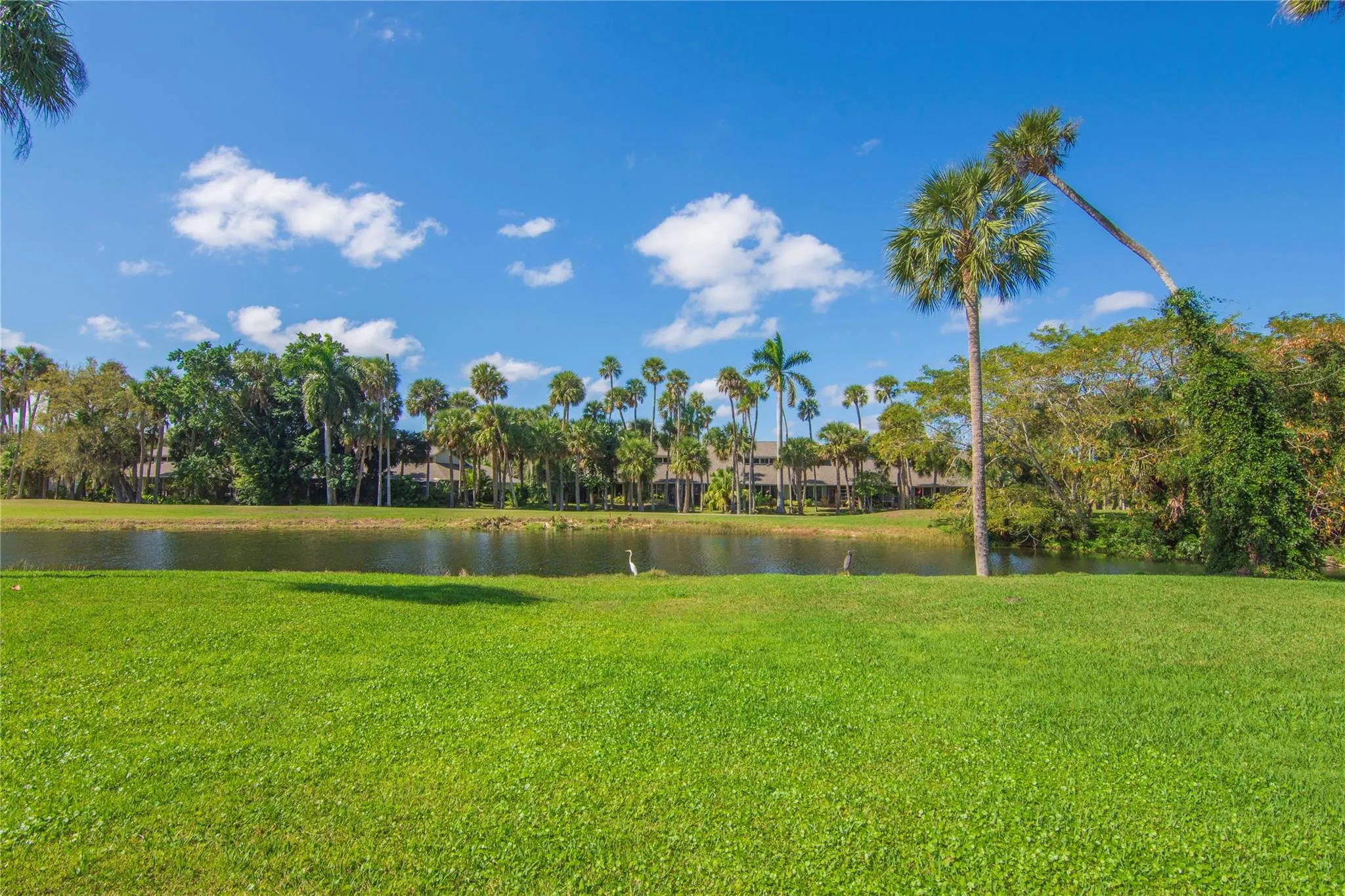 1 Vista Gardens Trl, #207