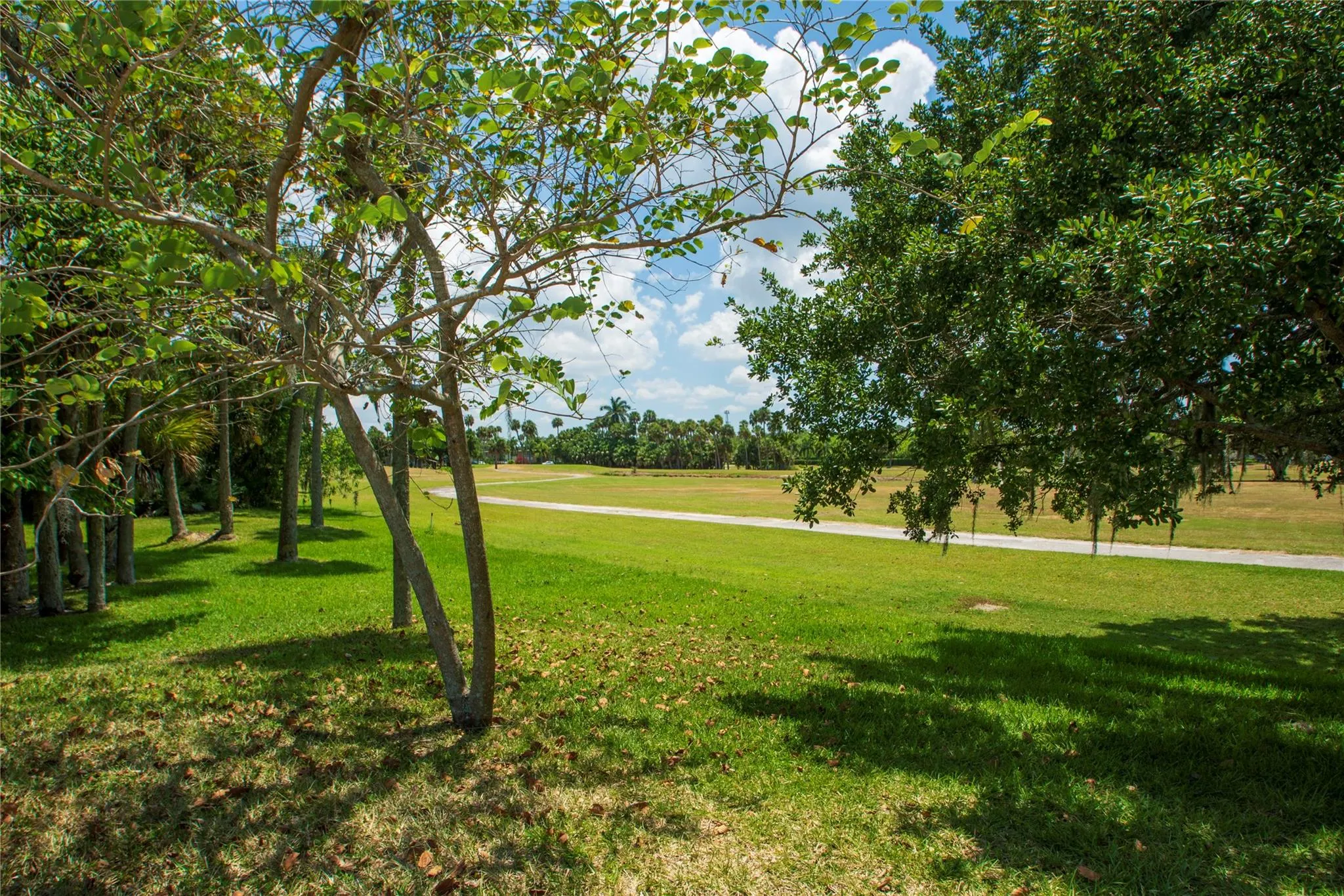 1 Vista Gardens Trl, #207