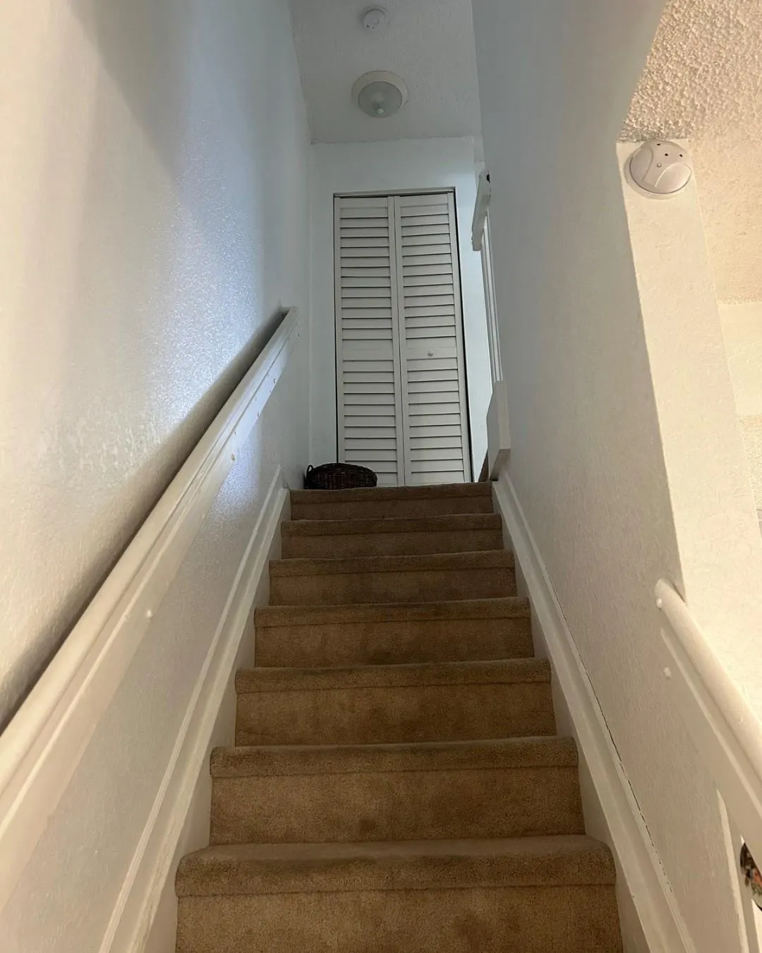 3336 Confetti Ln, #80-9