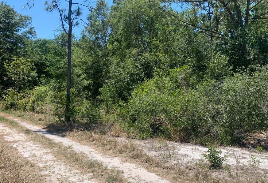 2649 N Todd Rd