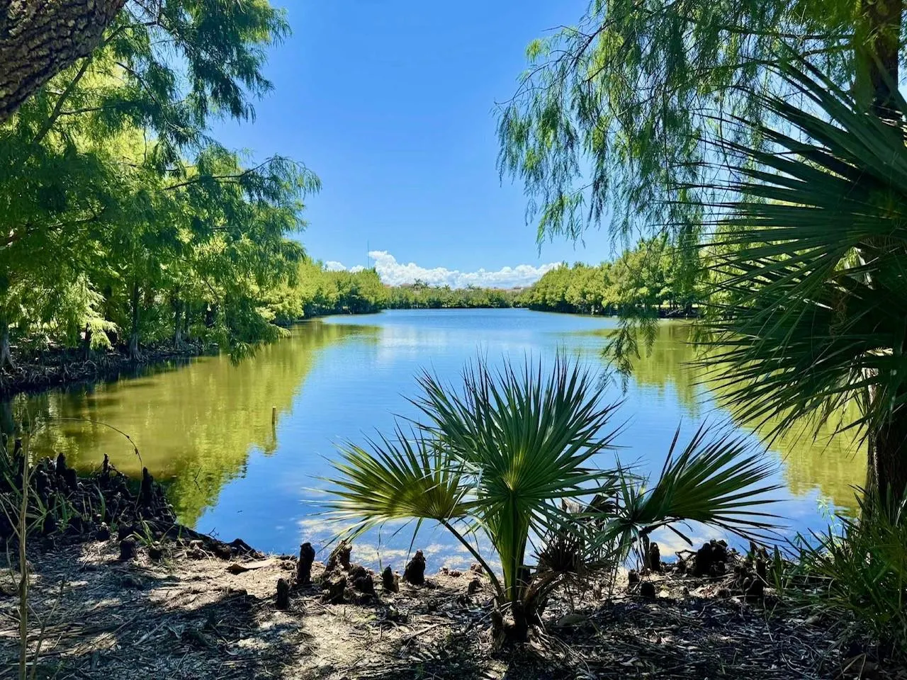 2000 SE Korona Dr