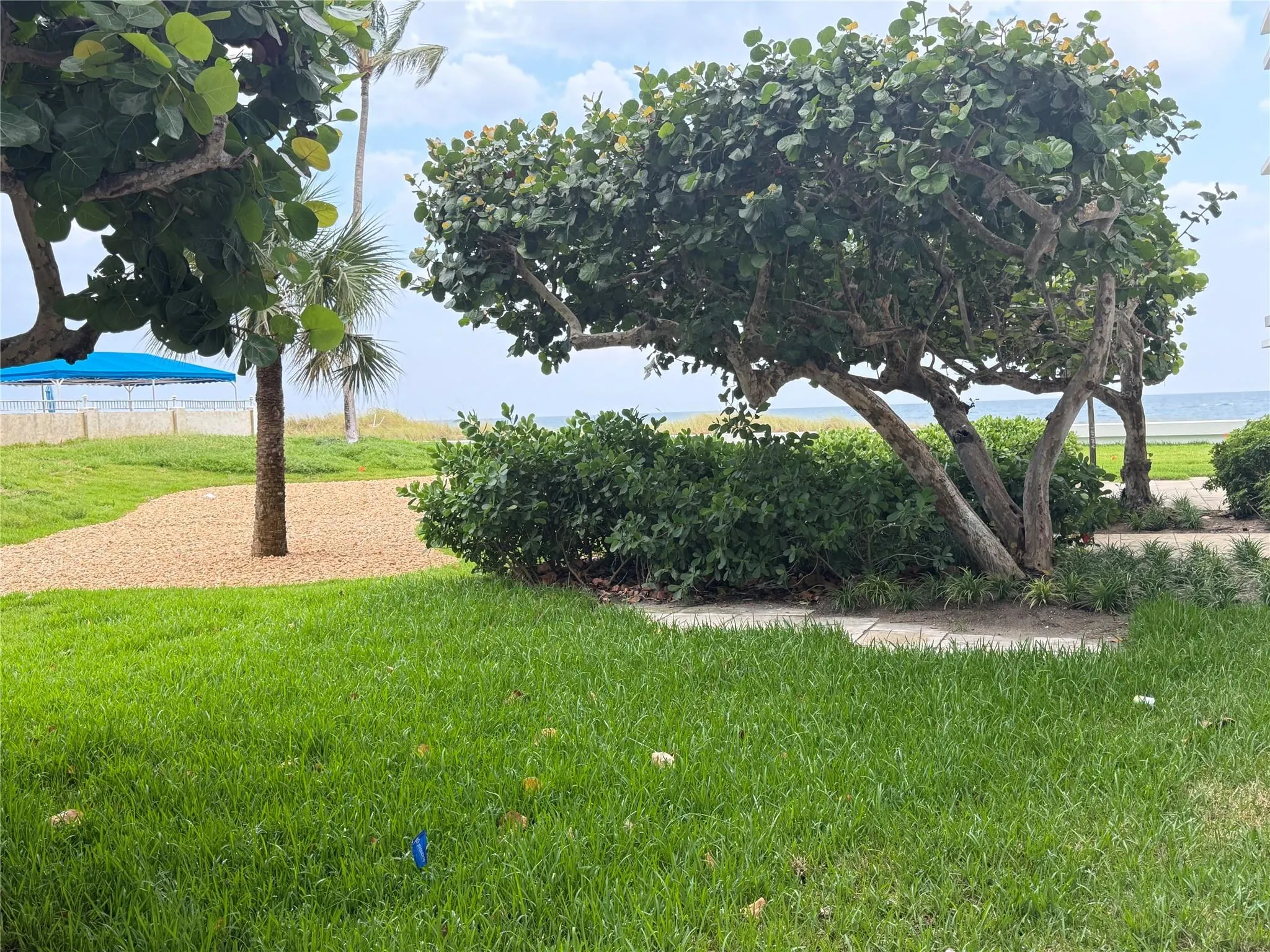 3900 N Ocean Dr, #GC