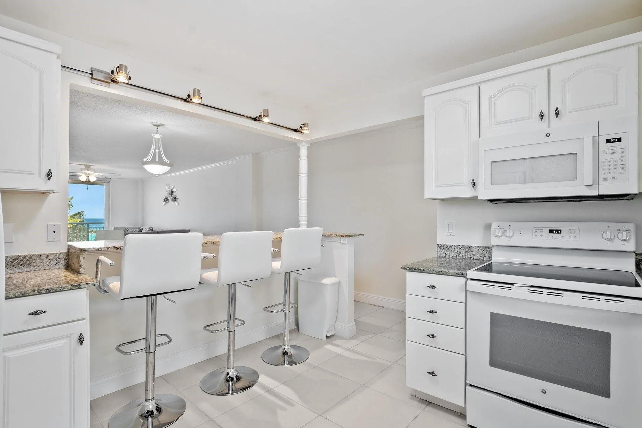 1051 Hillsboro Mile, #305E