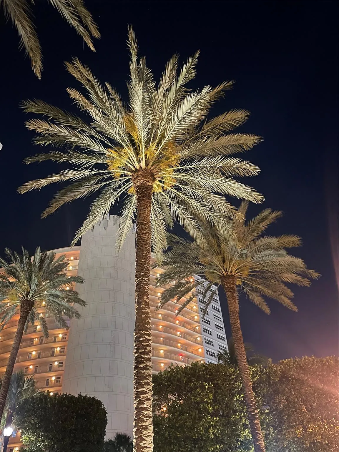 4100 Galt Ocean Dr, #306