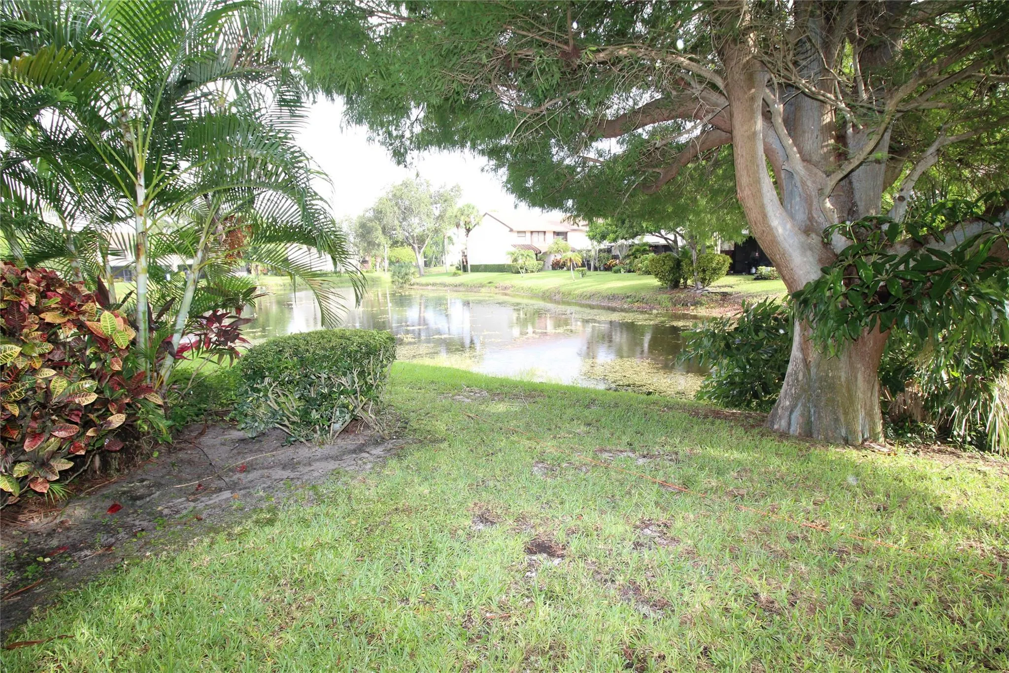 4360 Carambola Cir