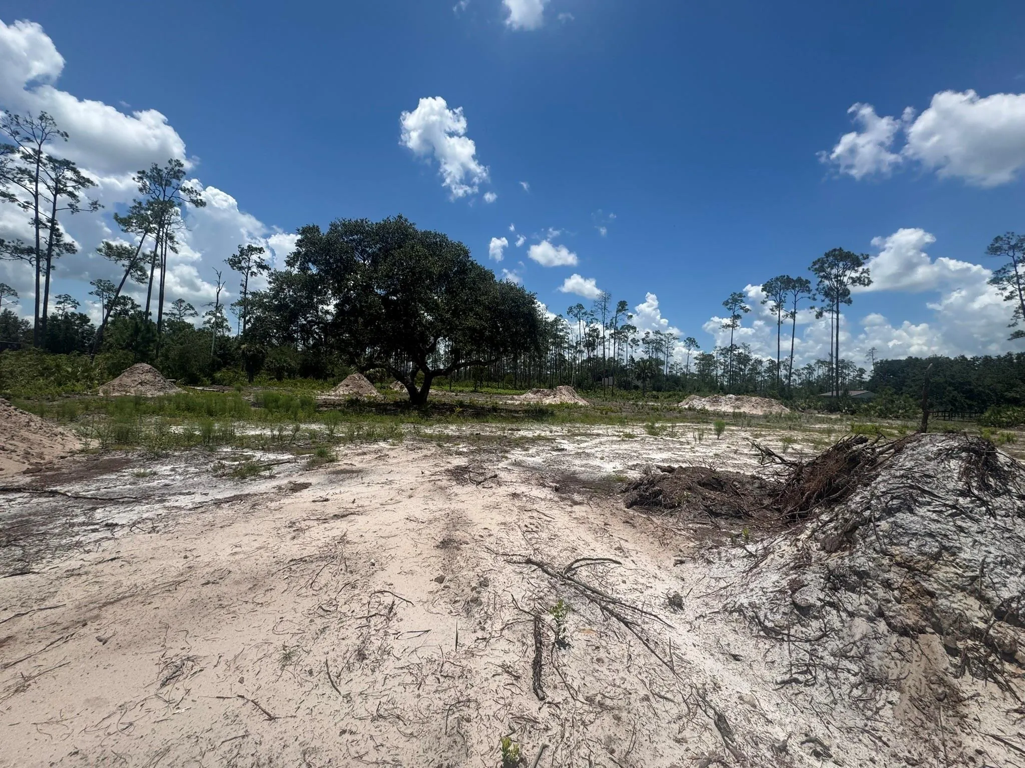 32801 Hwy 441 Lot 154