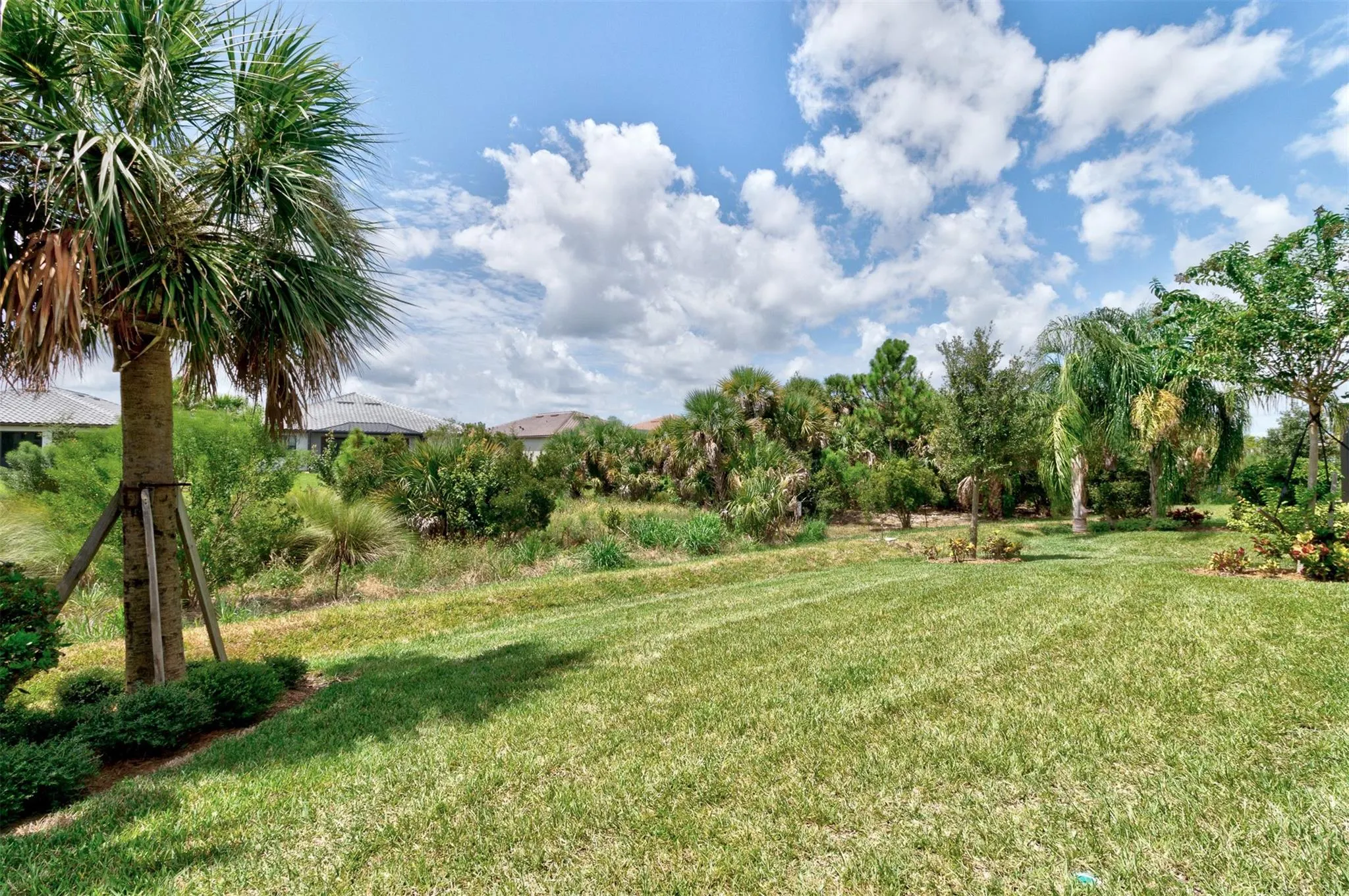 4231 E Basket Oak Cir