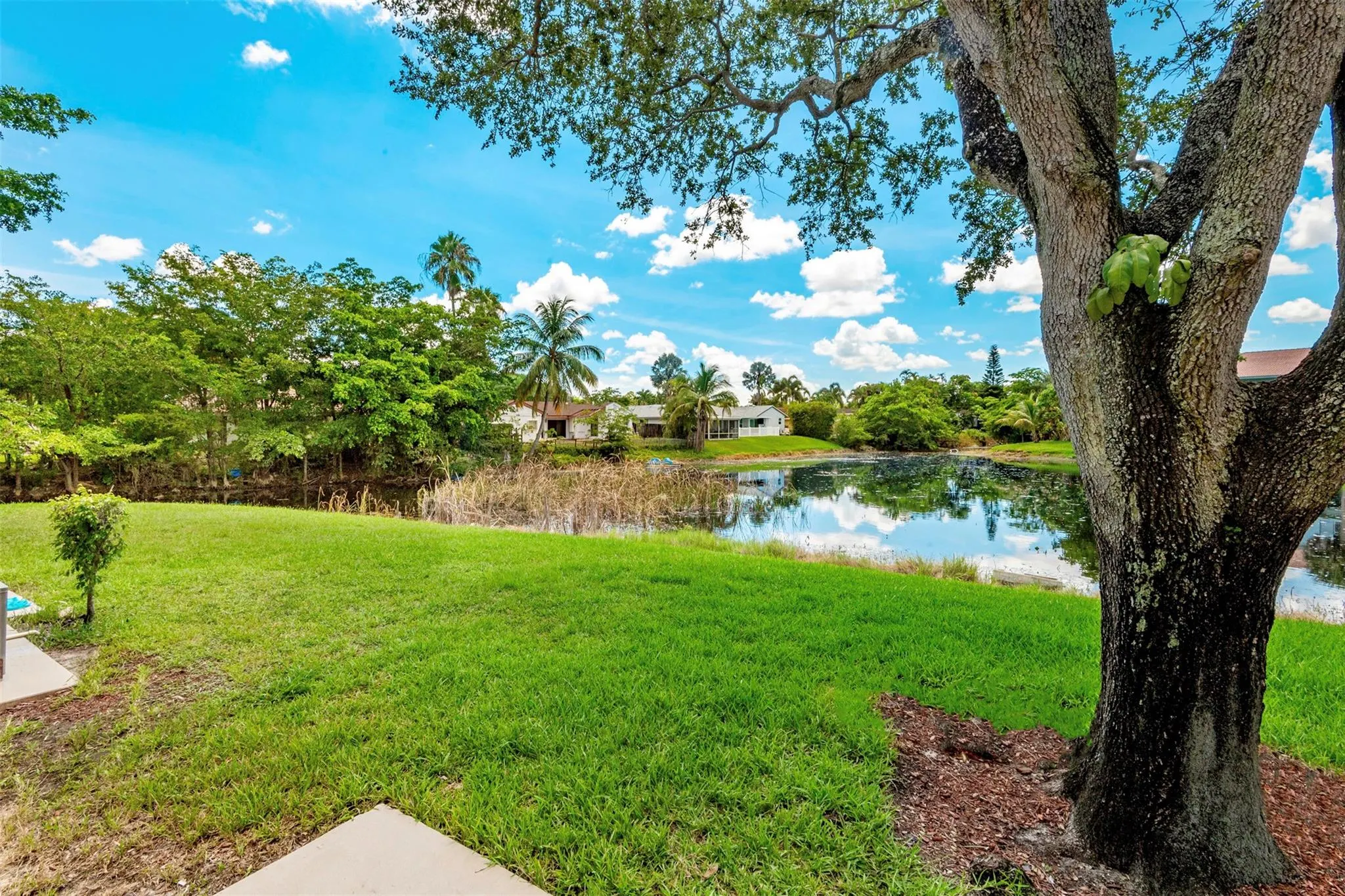 11430 NW 45th St
