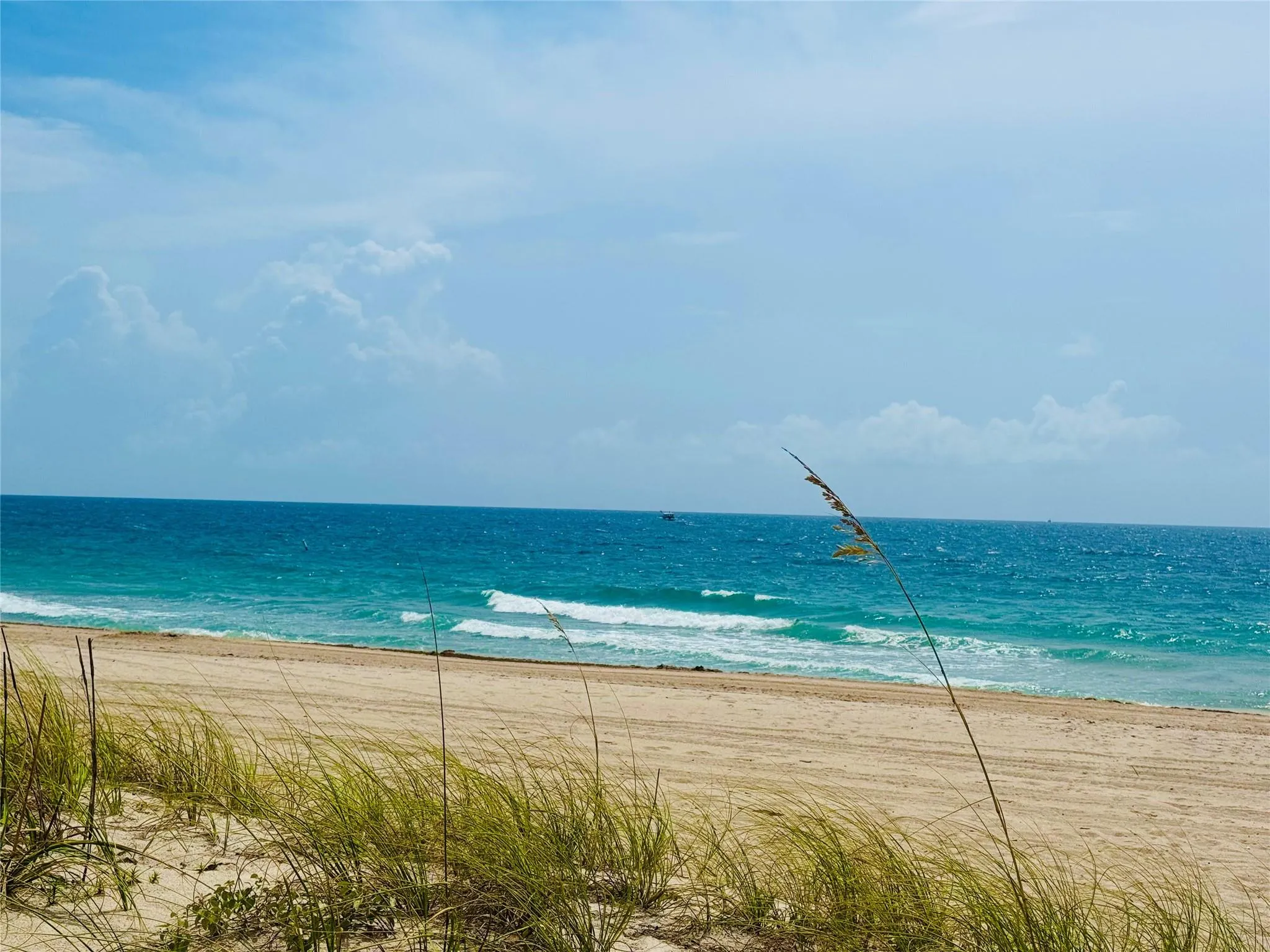 405 N Ocean Blvd, #1405