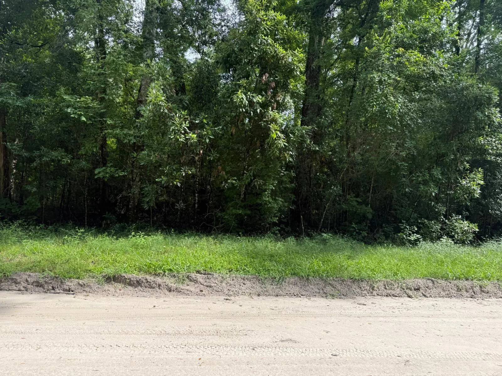 lot 36 SW Bumble St