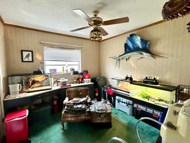 1101 NW 74th Ter