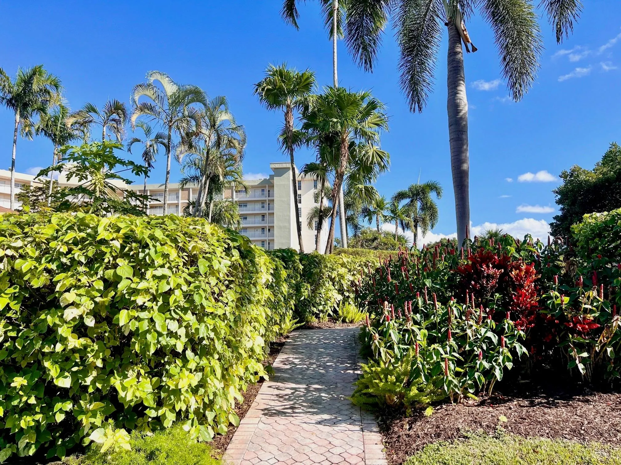 3010 N Course Dr, #511
