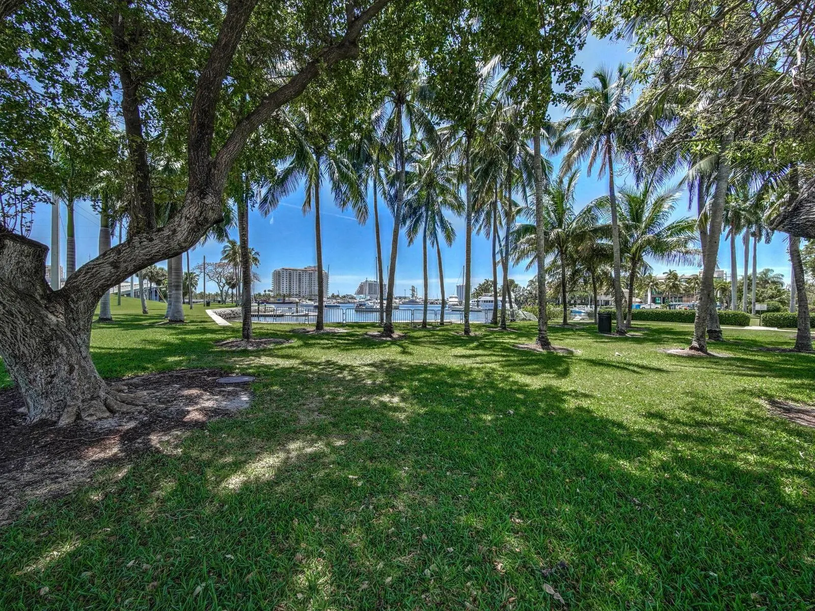 2500 E LAS OLAS BLVD, #707